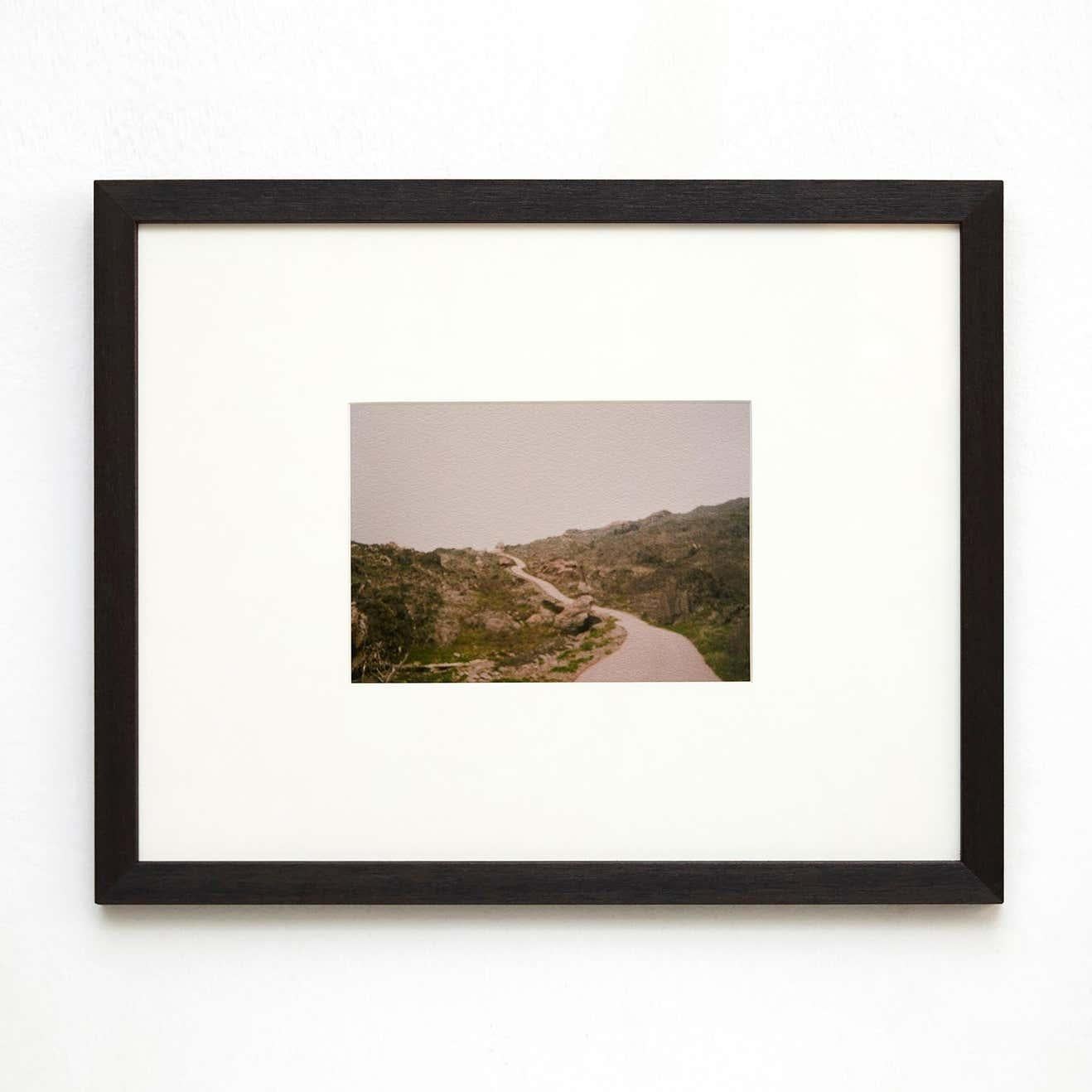Limited Edition Landscape Photograph: Green Meadow Path by David Urbano For Sale