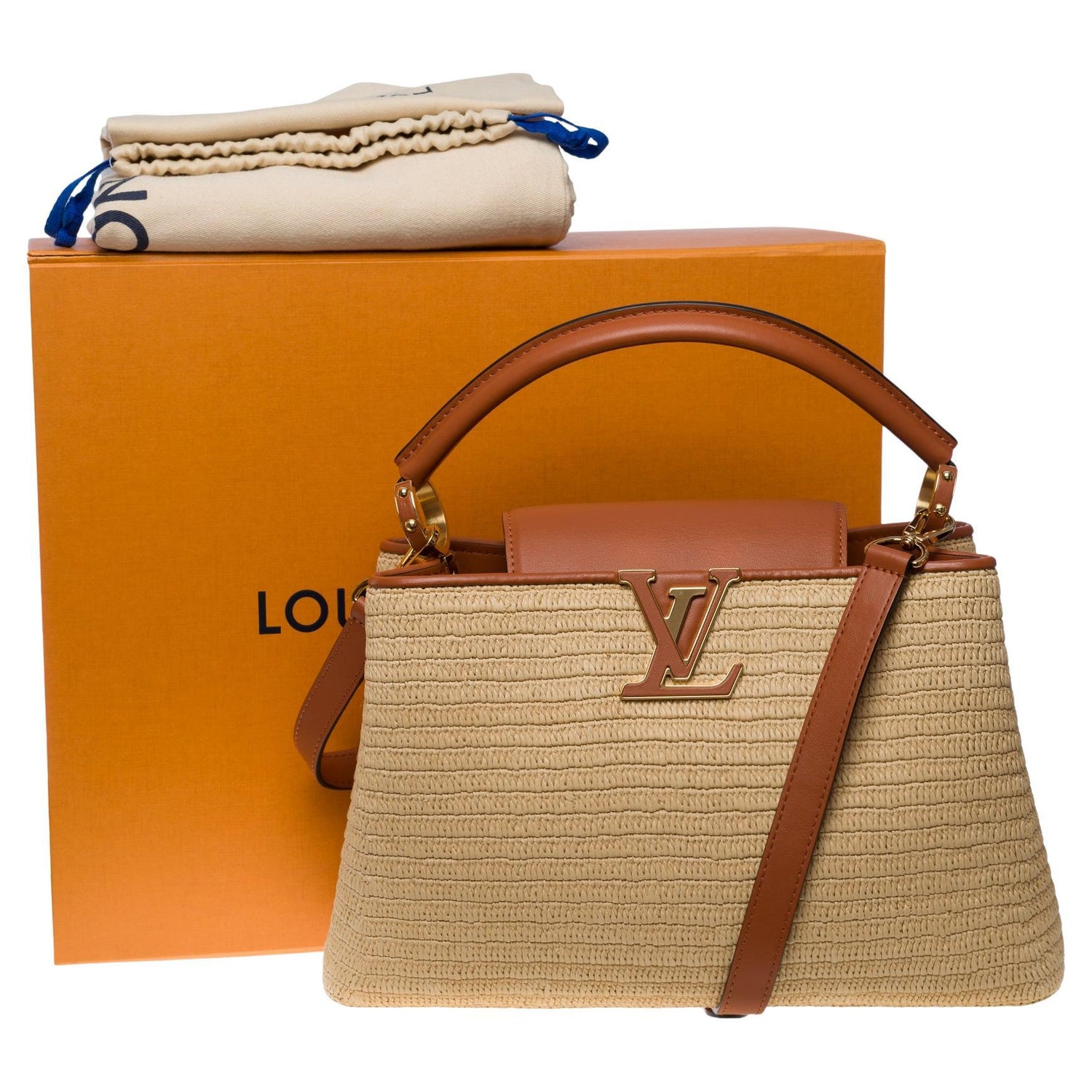 Louis Vuitton Capucines Handbag Limited Edition Broderies PM at