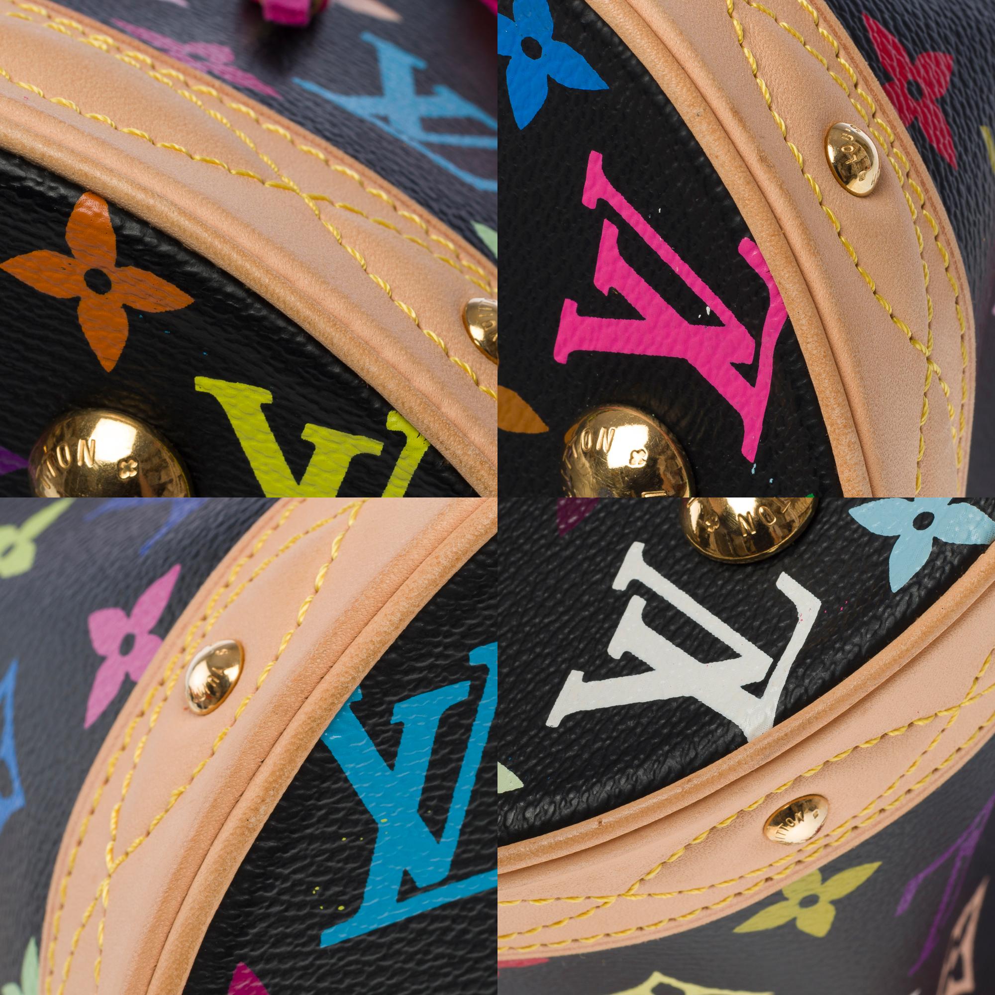Limited Edition Louis Vuitton Murakami Multicolor Bucket Frange Bucket Bag, GHW For Sale 9