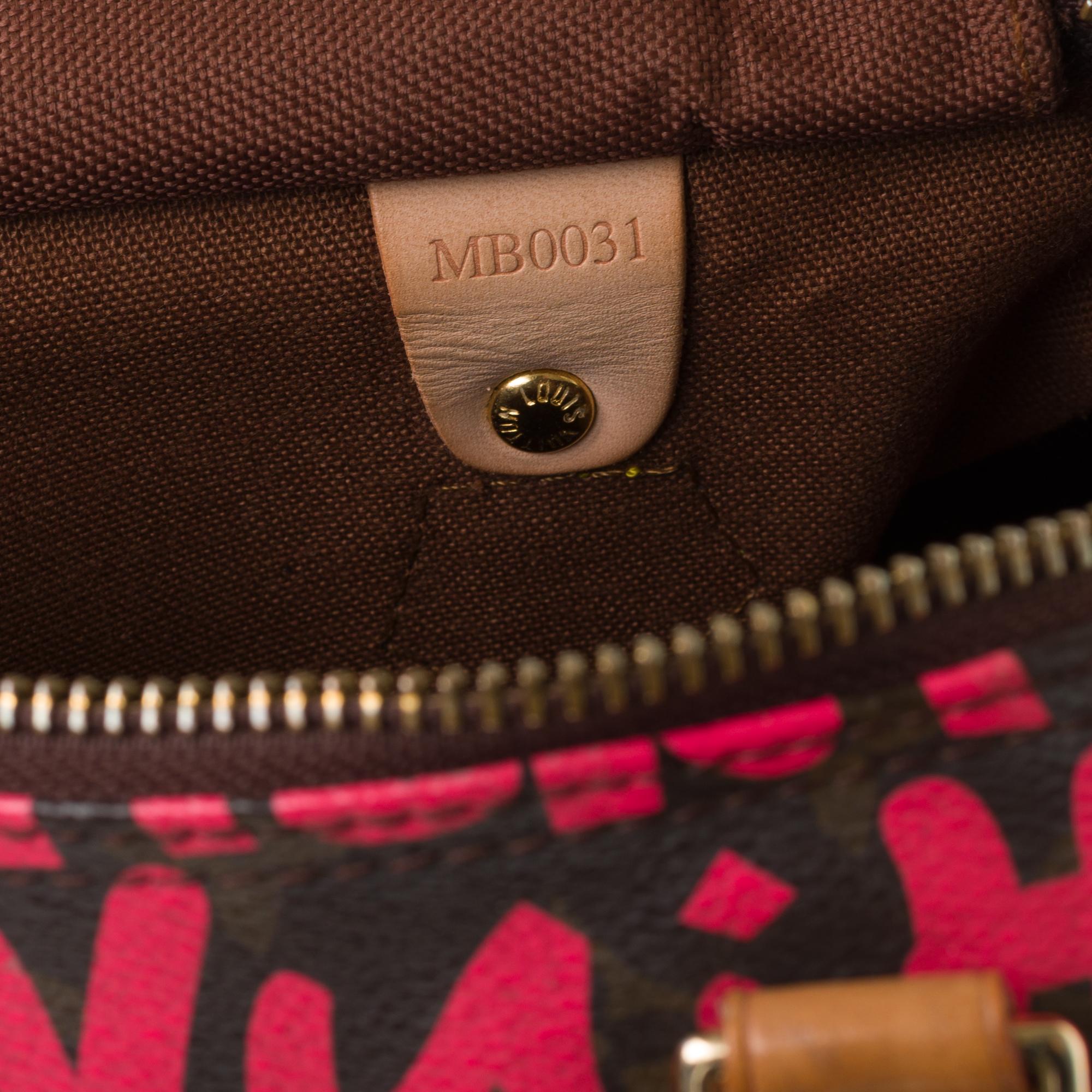 Limited Edition Louis Vuitton Speedy 30 