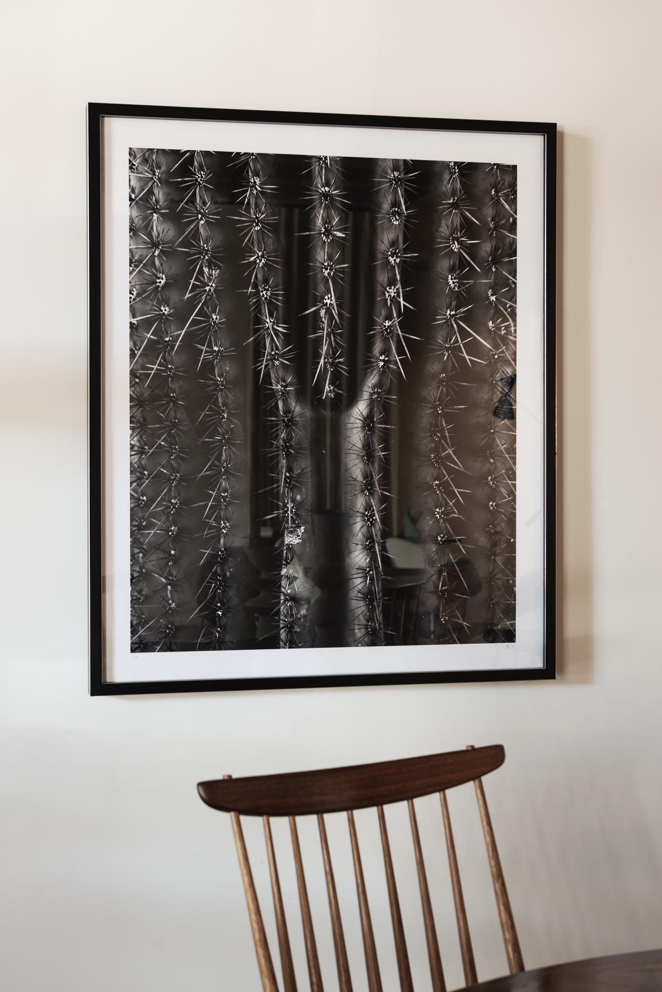Modern Limited Edition Prints from Desert Bellows, A Saguaro Series by Andrew Johnson