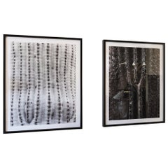 Limited Edition Prints from Desert Bellows, A Saguaro Series by Andrew Johnson