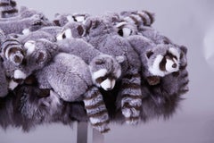 Limited Edition "Racoon" Bench by AP Collection Belgium