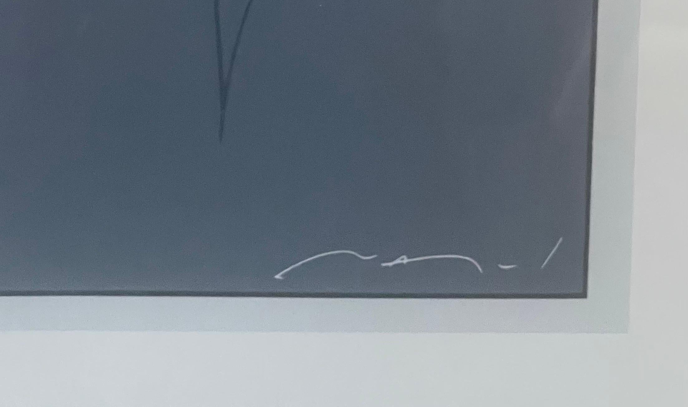 Serigrafía de edición limitada 