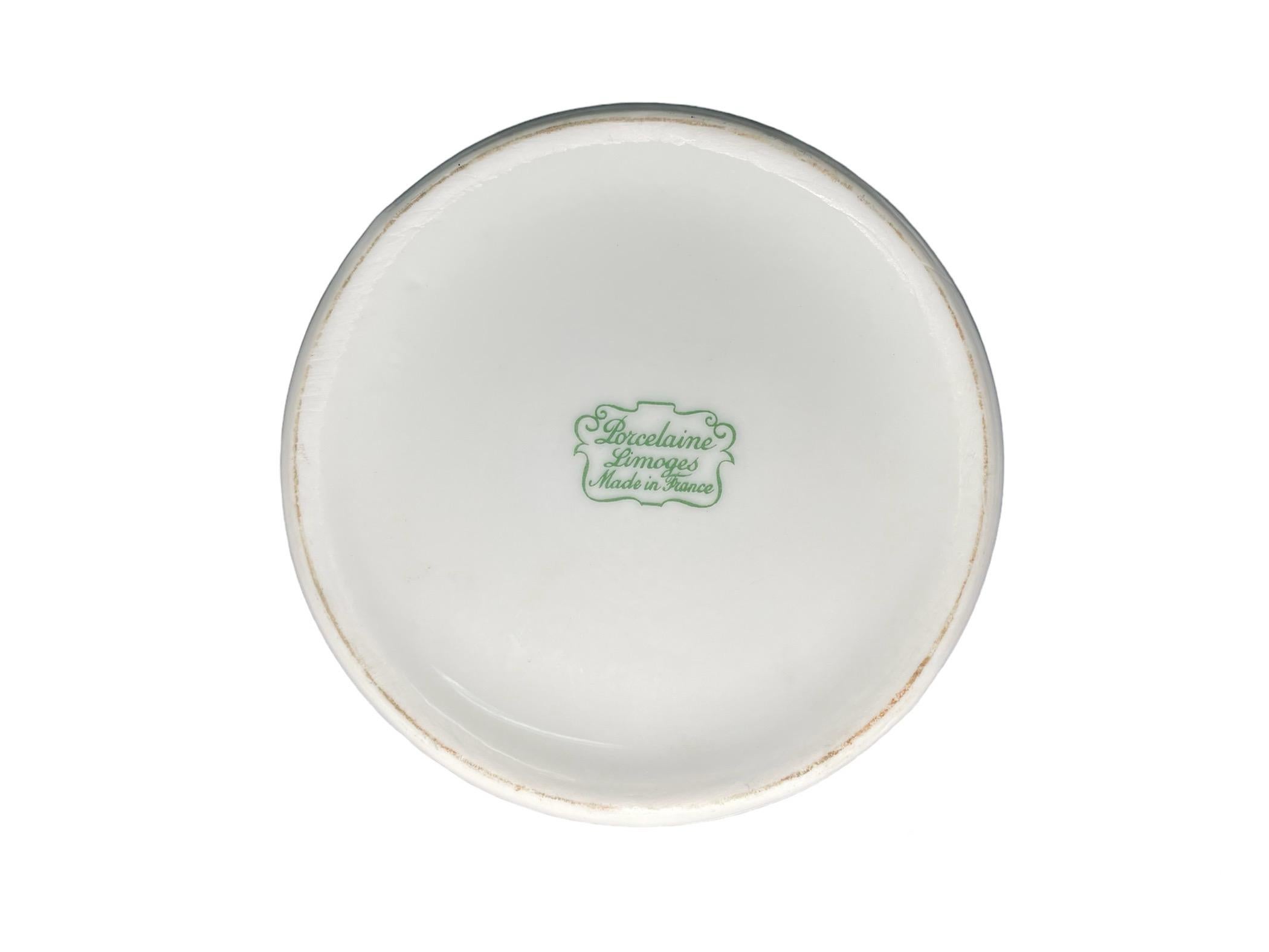 Dipinto a mano Vaso da farmacia in porcellana di Limoges in vendita