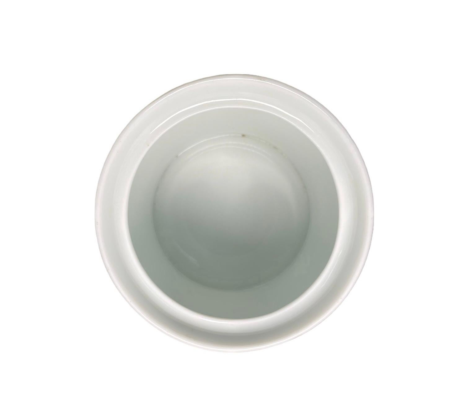XX secolo Vaso da farmacia in porcellana di Limoges in vendita