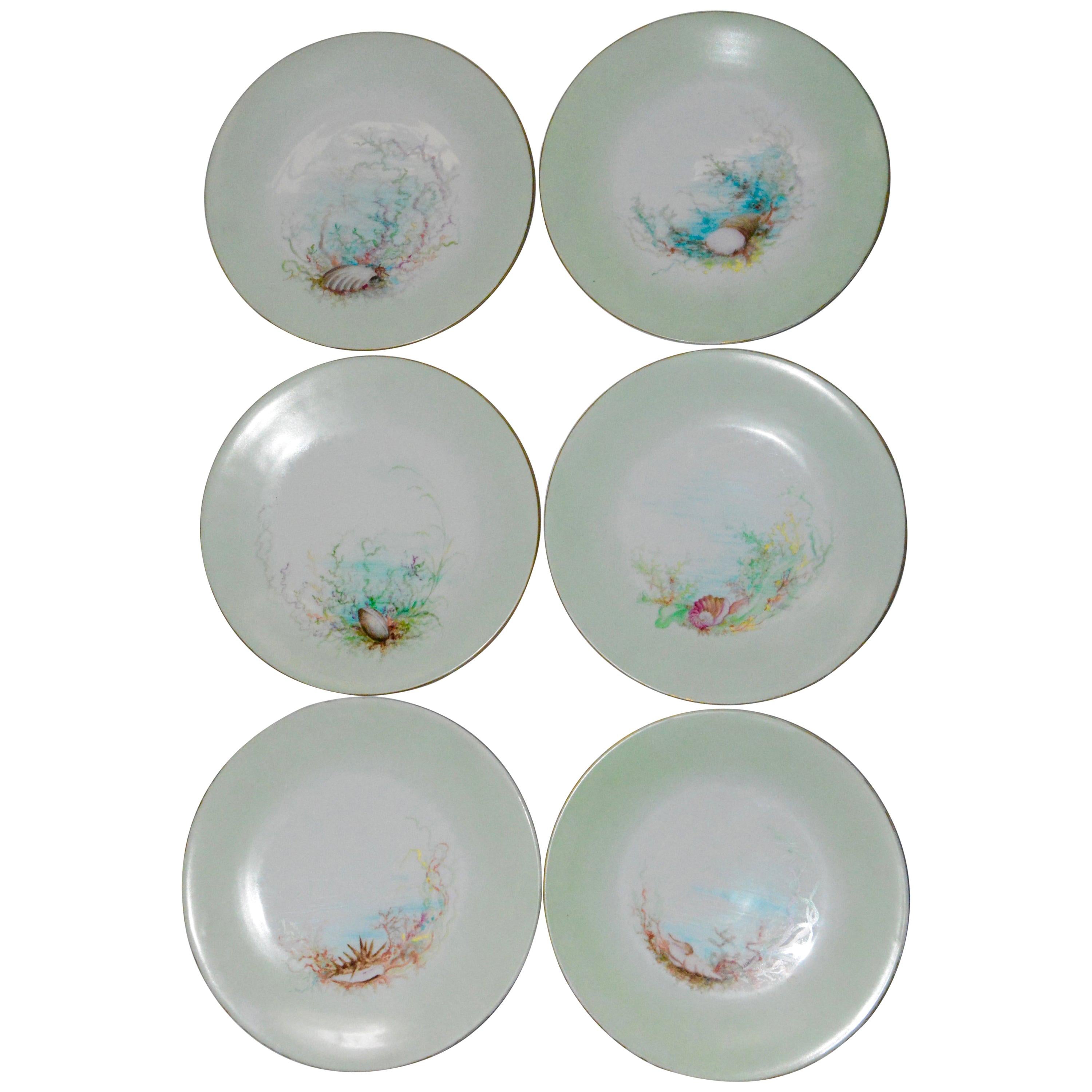 Limoges T & V French Plates with Seashell Paintings by M.H. Dismukes in 1898 For Sale