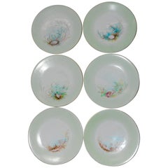 Limoges T & V French Plates with Seashell Paintings by M.H. Dismukes in 1898