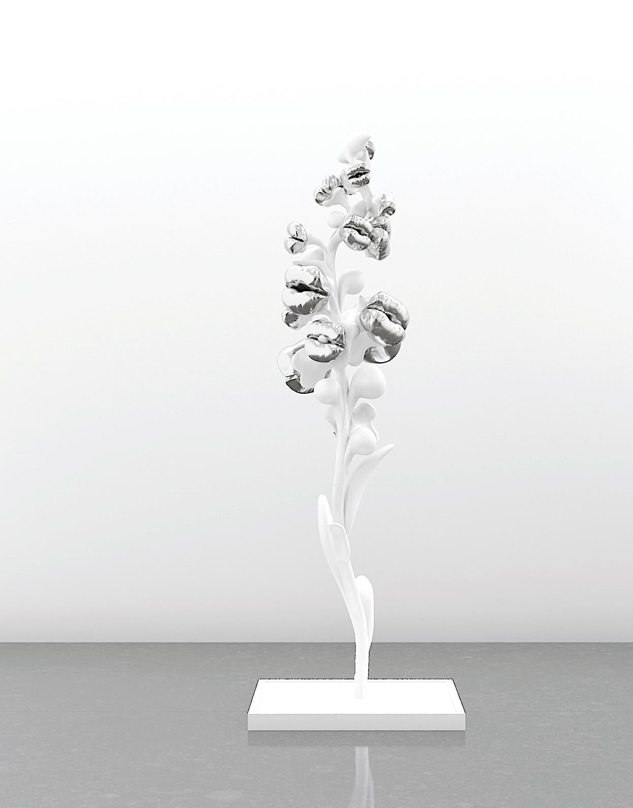 Untitled I, OM Collection