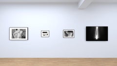 Untitled (Diary) – Lina Scheynius, Black and White, Human Figure, Nude, Erotic