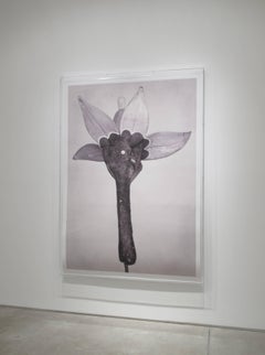 Forme d'arte nel meccanismo XVll