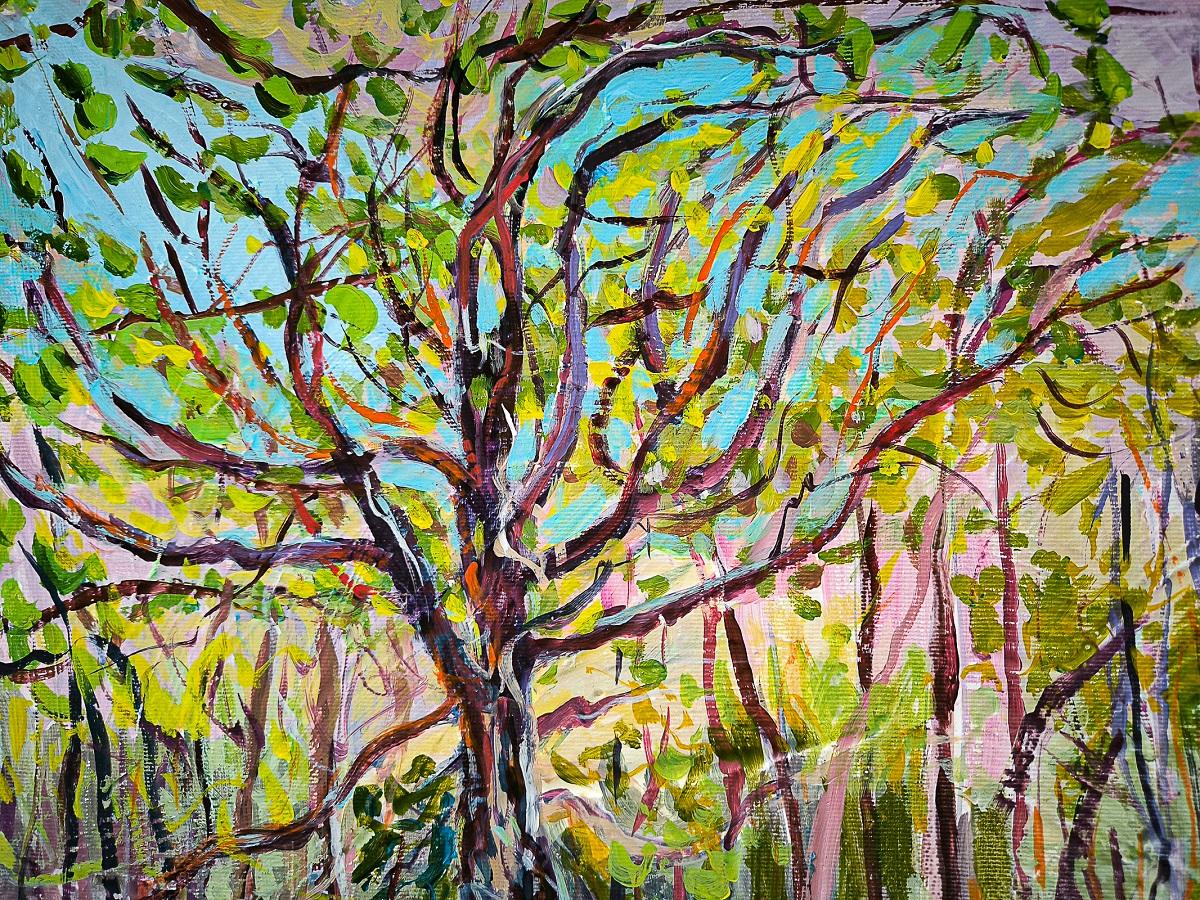 Árbol del agua en venta 1