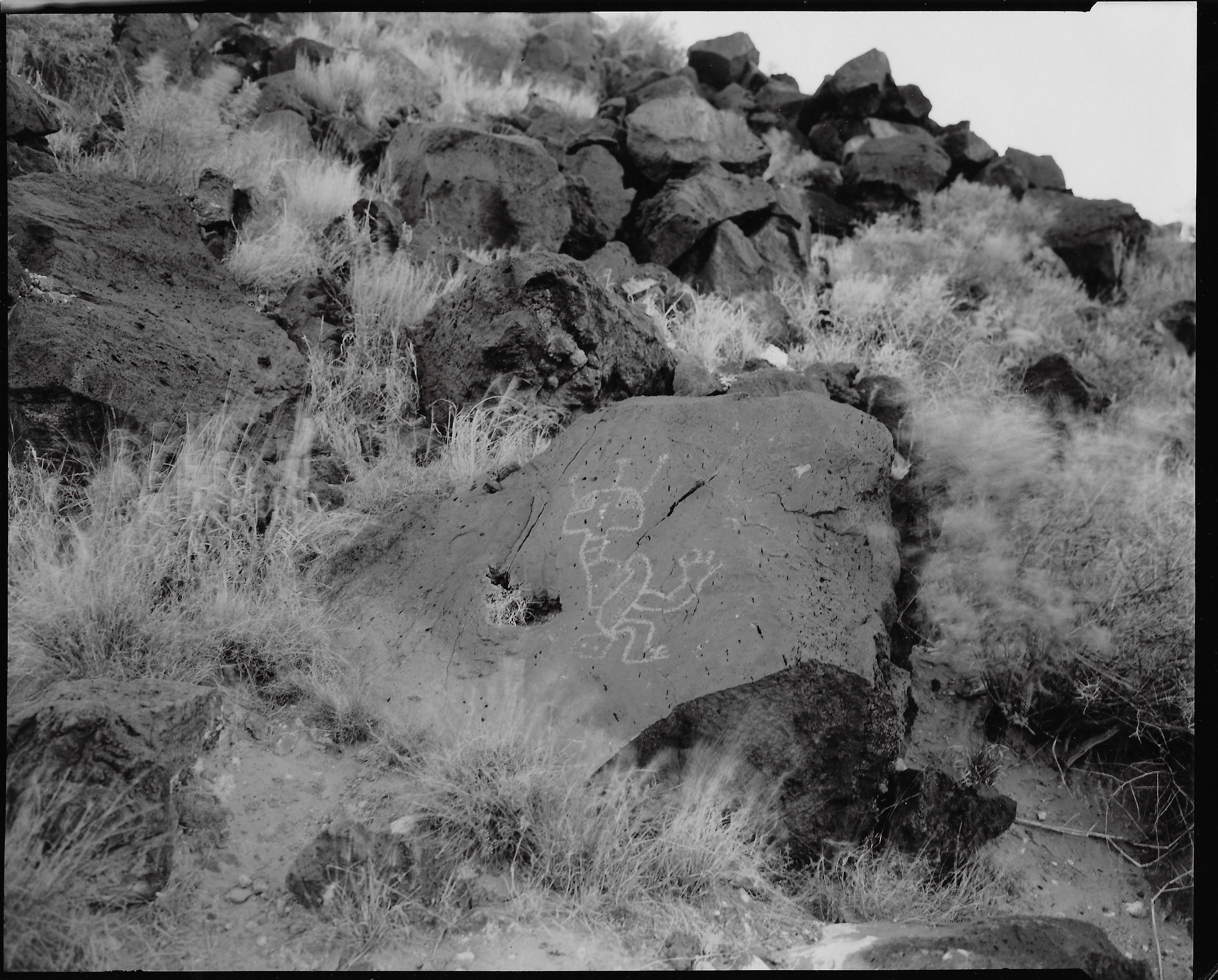 Linda Connor, New Mexico, 1995, Petroglyph National Monument, printing-out-paper contact print. Image size 8x10", Matted: 16x20".