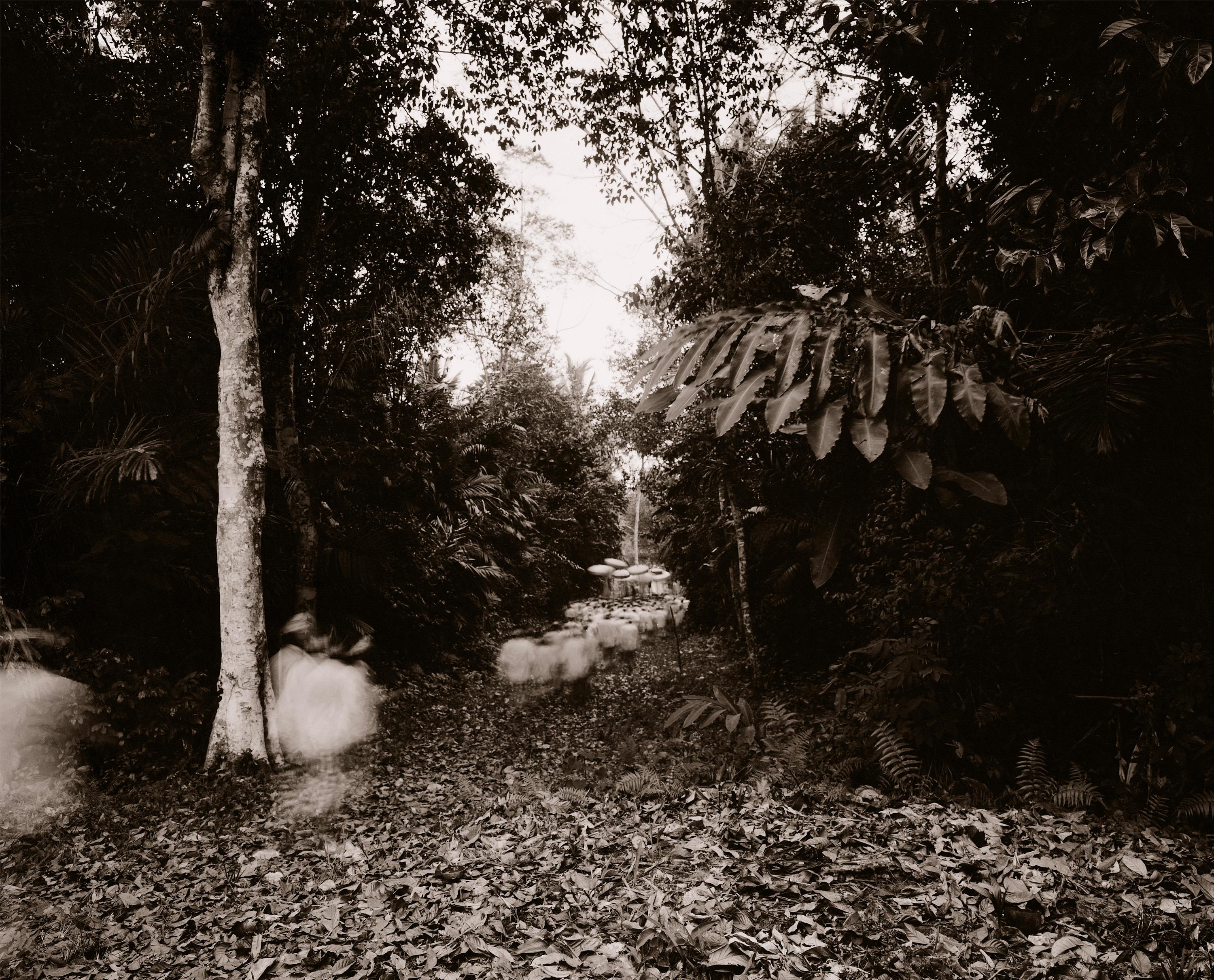 Linda Connor Black and White Photograph - Procession, Bali, Indonesia