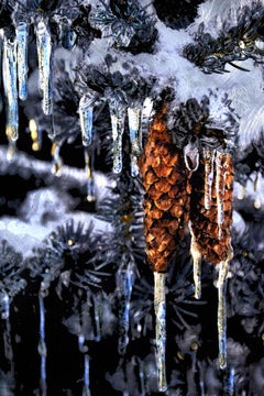 Winter's Gems
