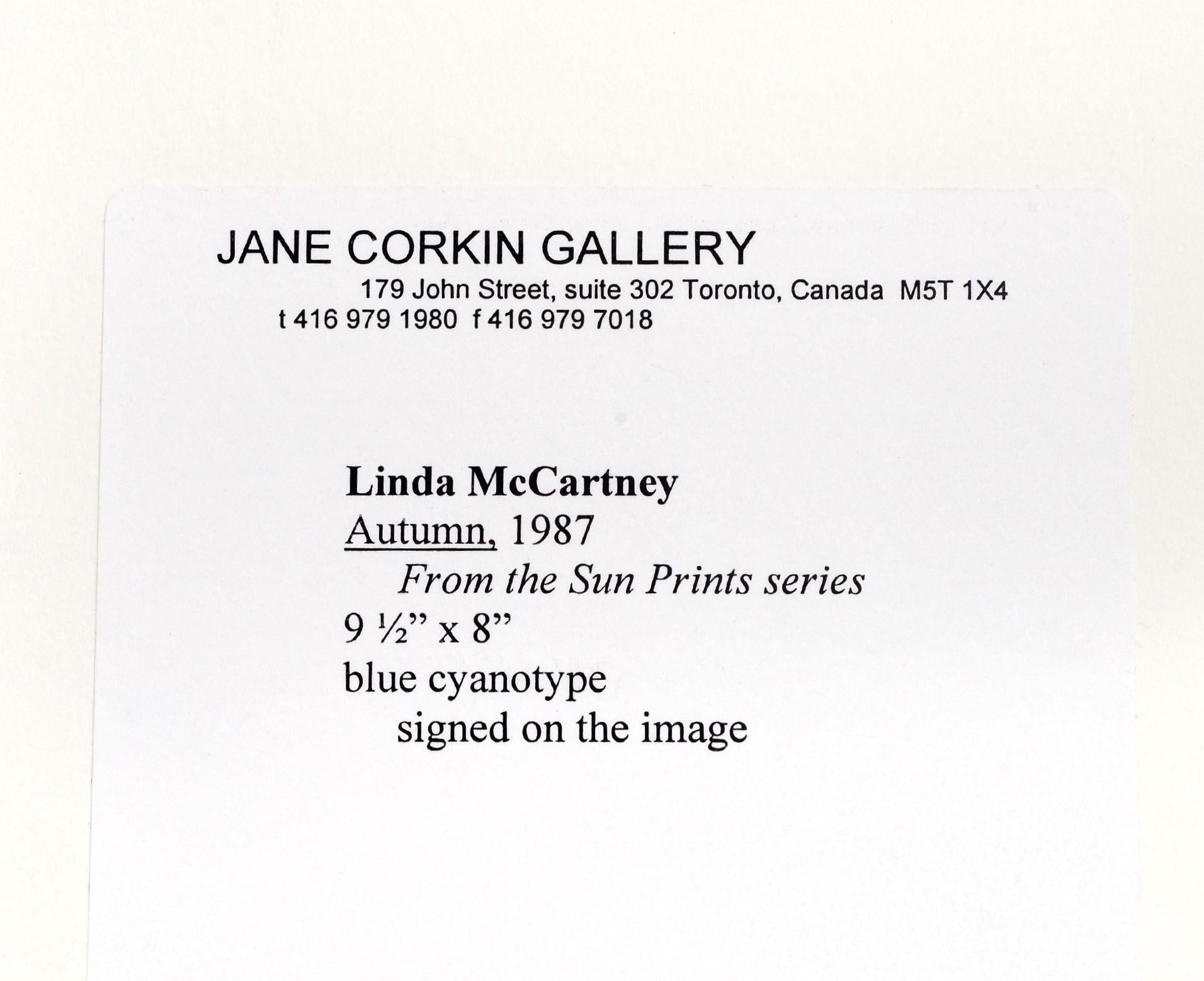 20th Century Linda McCartney, 'Autumn', 1987 For Sale
