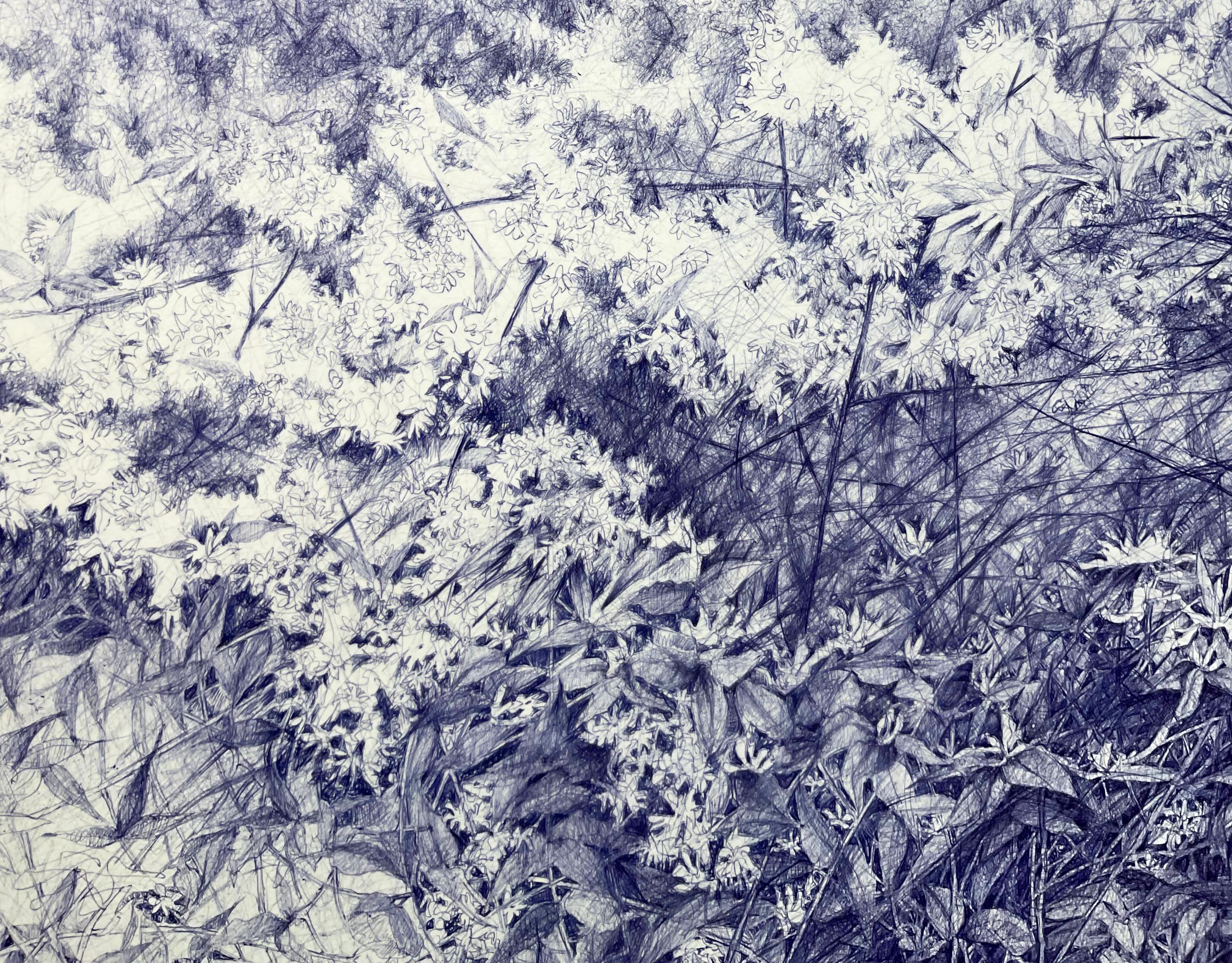 Archival inkjet print of a realistic lush country forest landscape drawing made with blue ball-point pen

