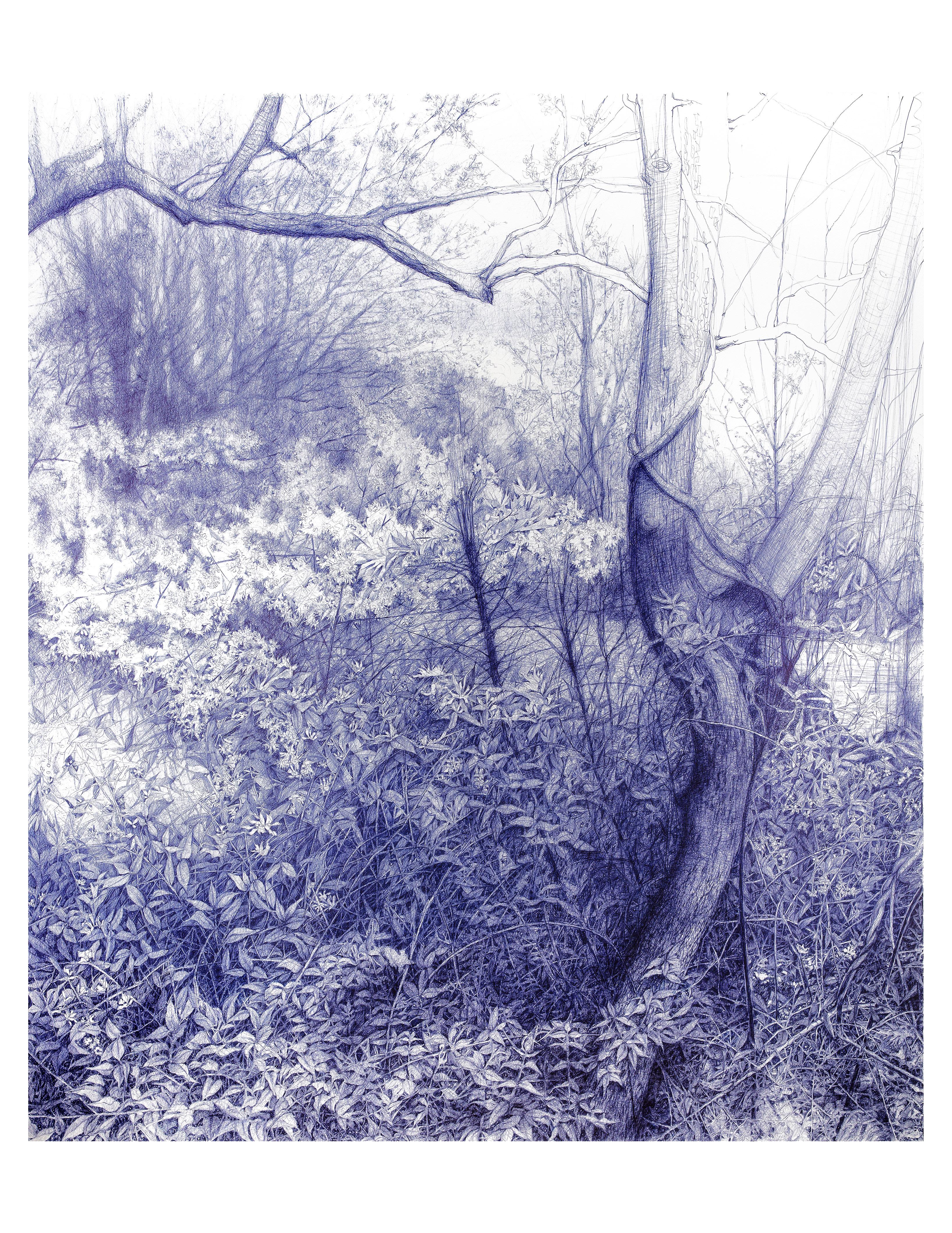 Linda Newman Boughton Landscape Print - Dream a Little Dream (Archival Print of Blue Ball Point Pen Forest Landscape)