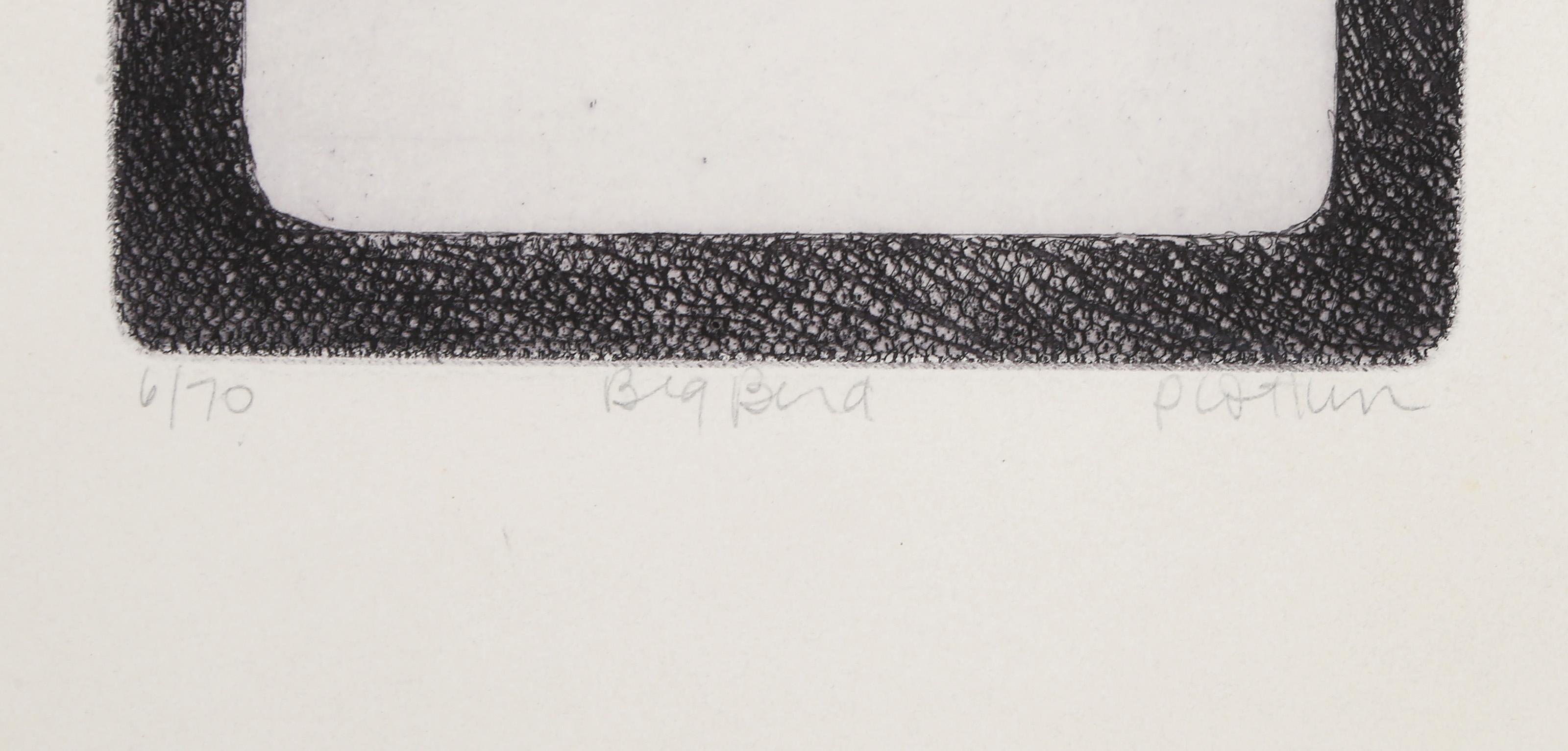 Big Bird, Modern Etching by Linda Plotkin For Sale 3