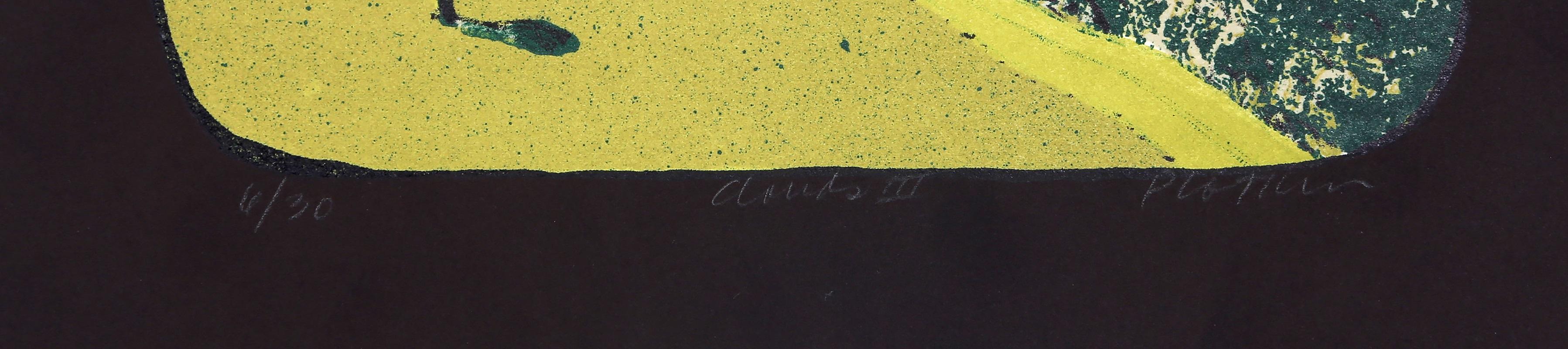 Clouds III, Modern Lithograph by Linda Plotkin For Sale 4
