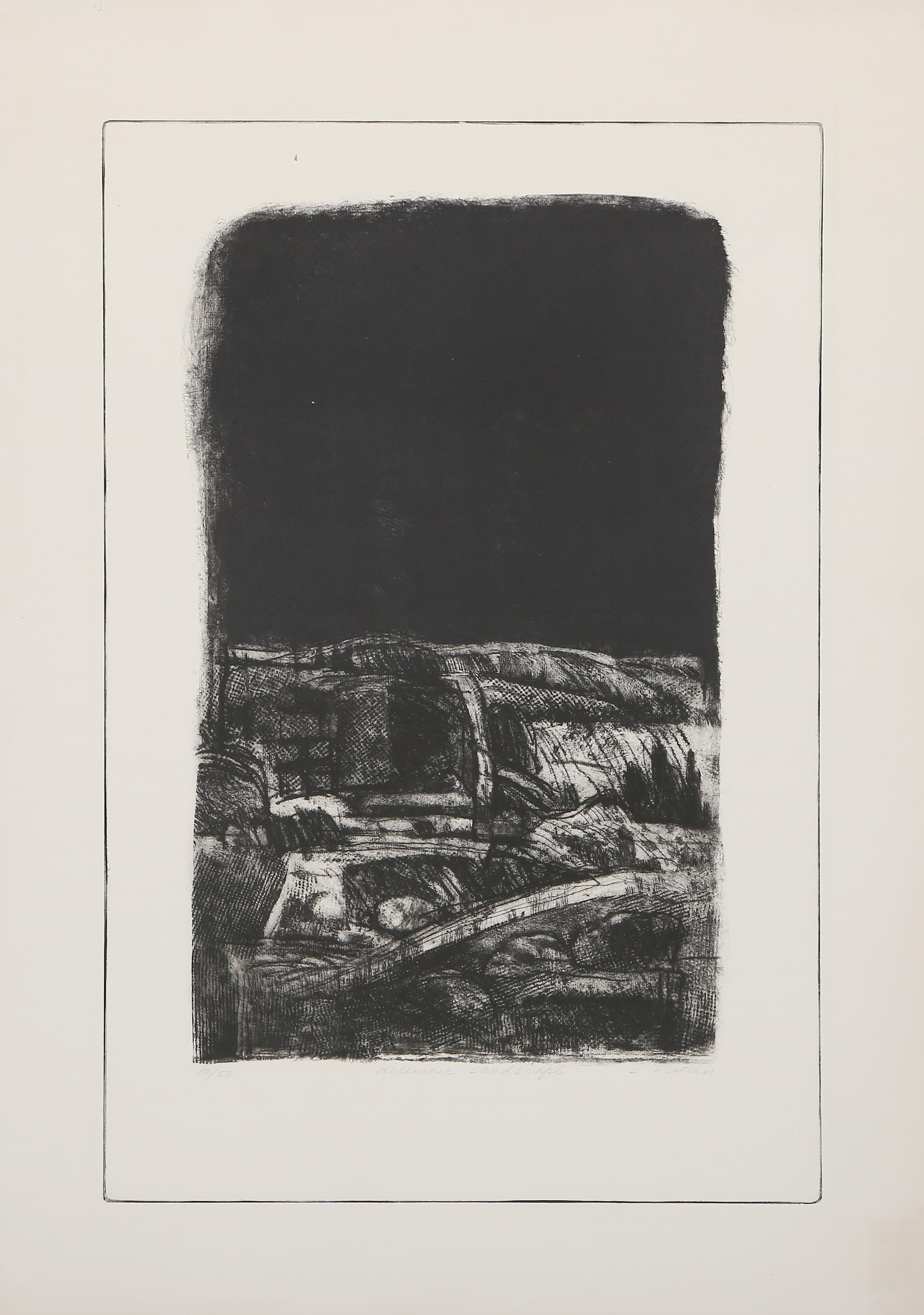 December Landscape, Modern Etching by Linda Plotkin For Sale 1
