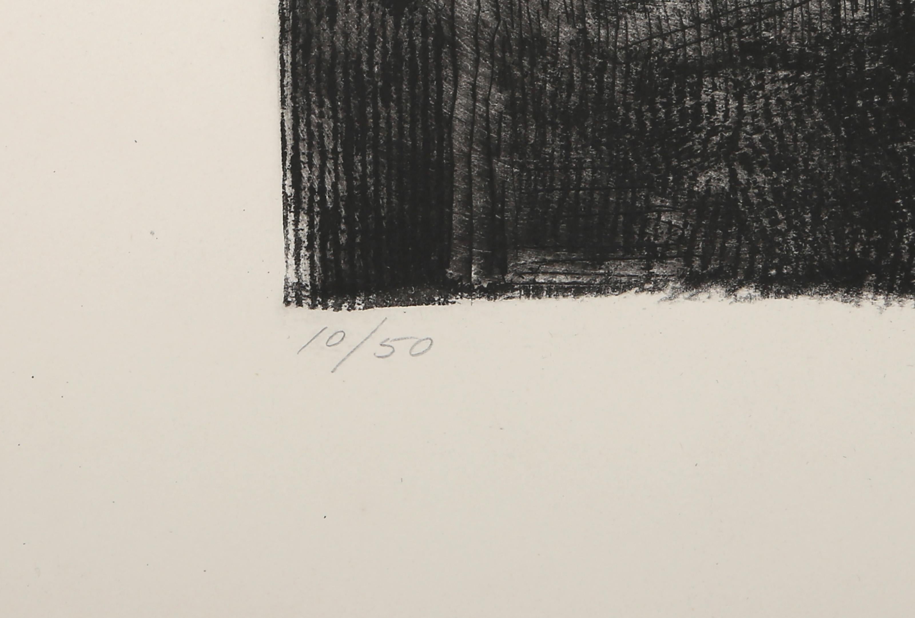 December Landscape, Modern Etching by Linda Plotkin For Sale 2