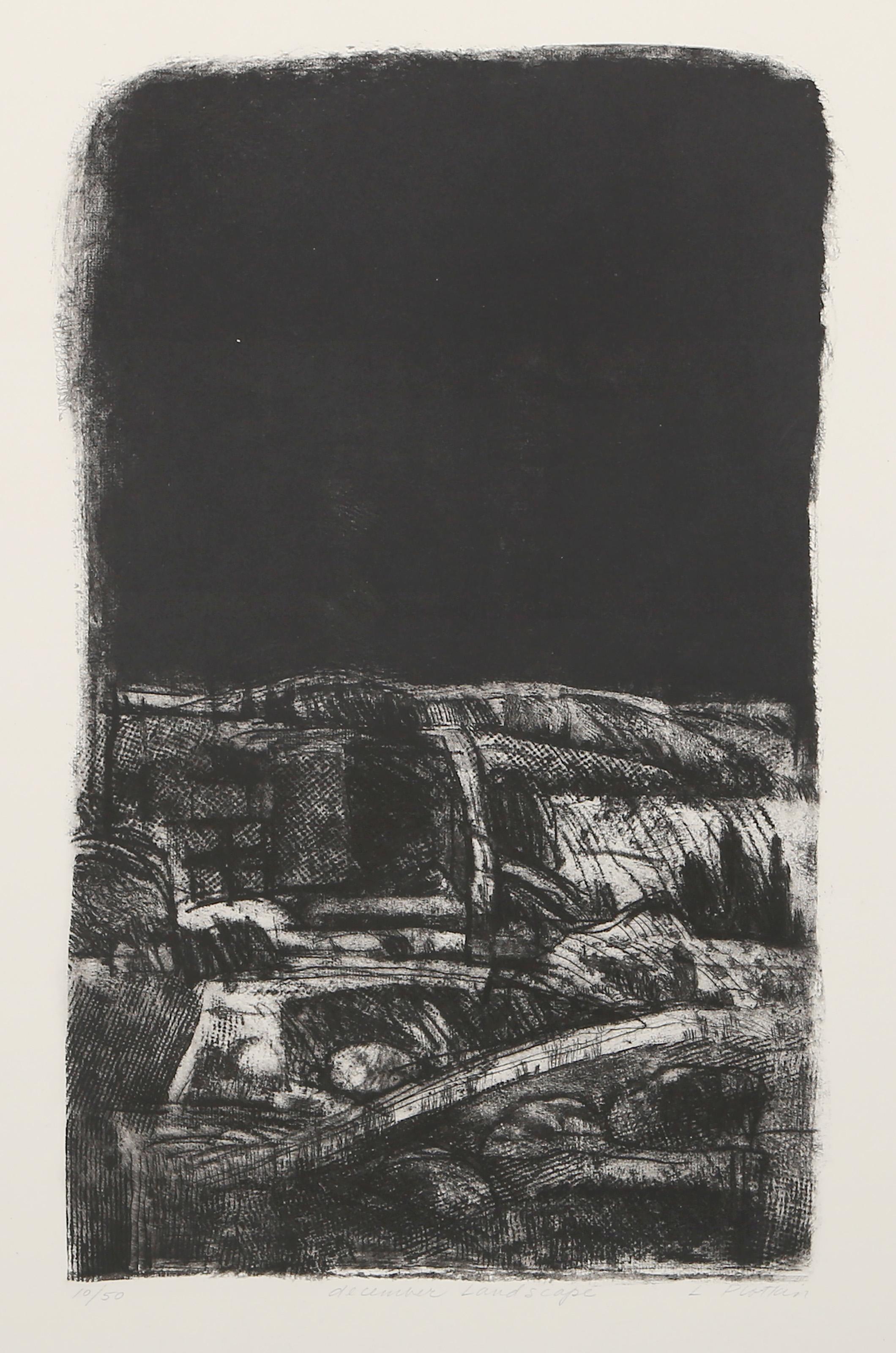 Linda Plotkin, American (1938 - ) - December Landscape, Year:  circa 1965, Medium:  Etching on BFK Rives, signed, titled and numbered in pencil, Edition:  10/50, Image Size:  19 x 11.5 inches, Size:  29.5 x 21 in. (74.93 x 53.34 cm) 