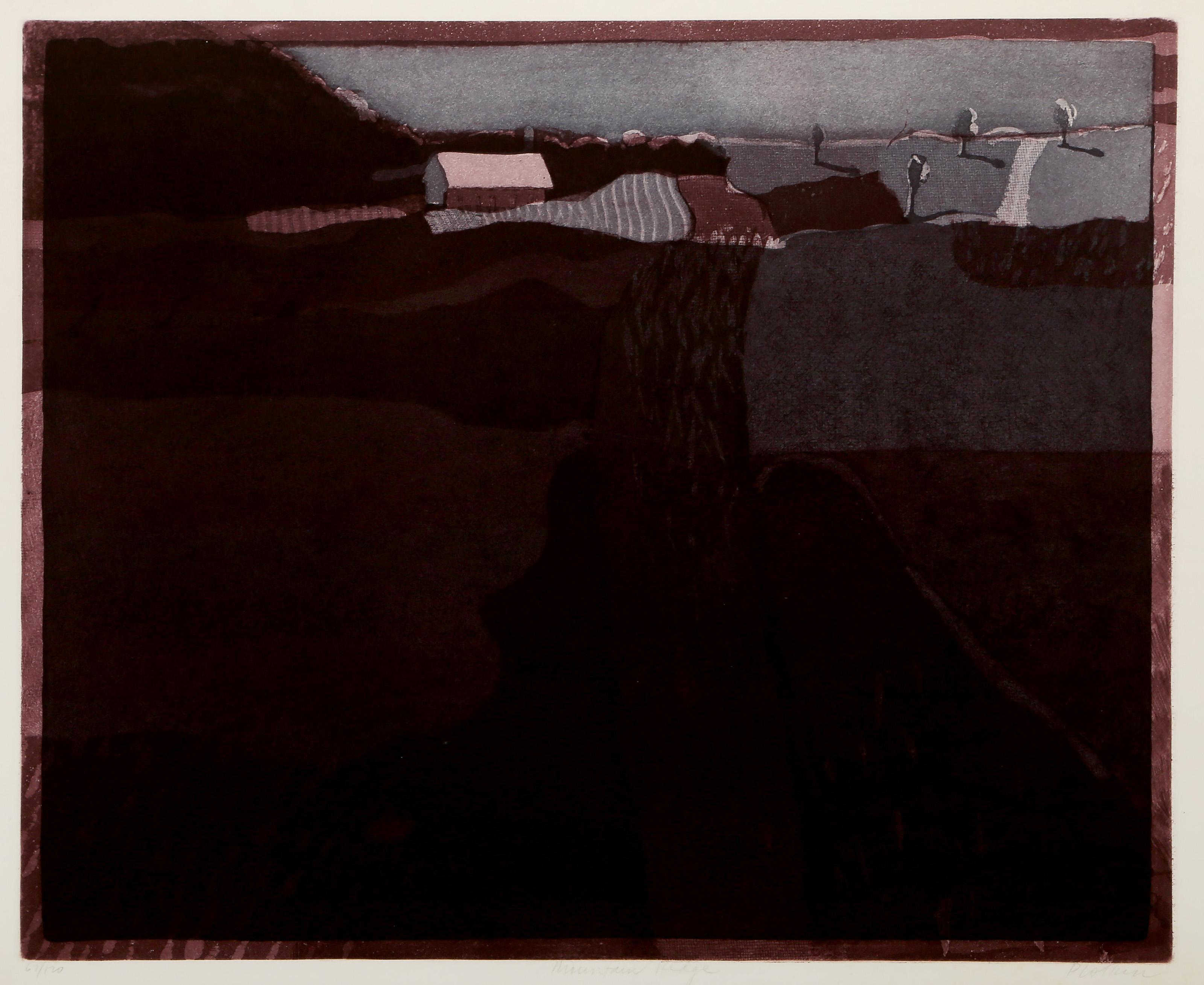 Moshannon, Modern Etching by Linda Plotkin For Sale 4