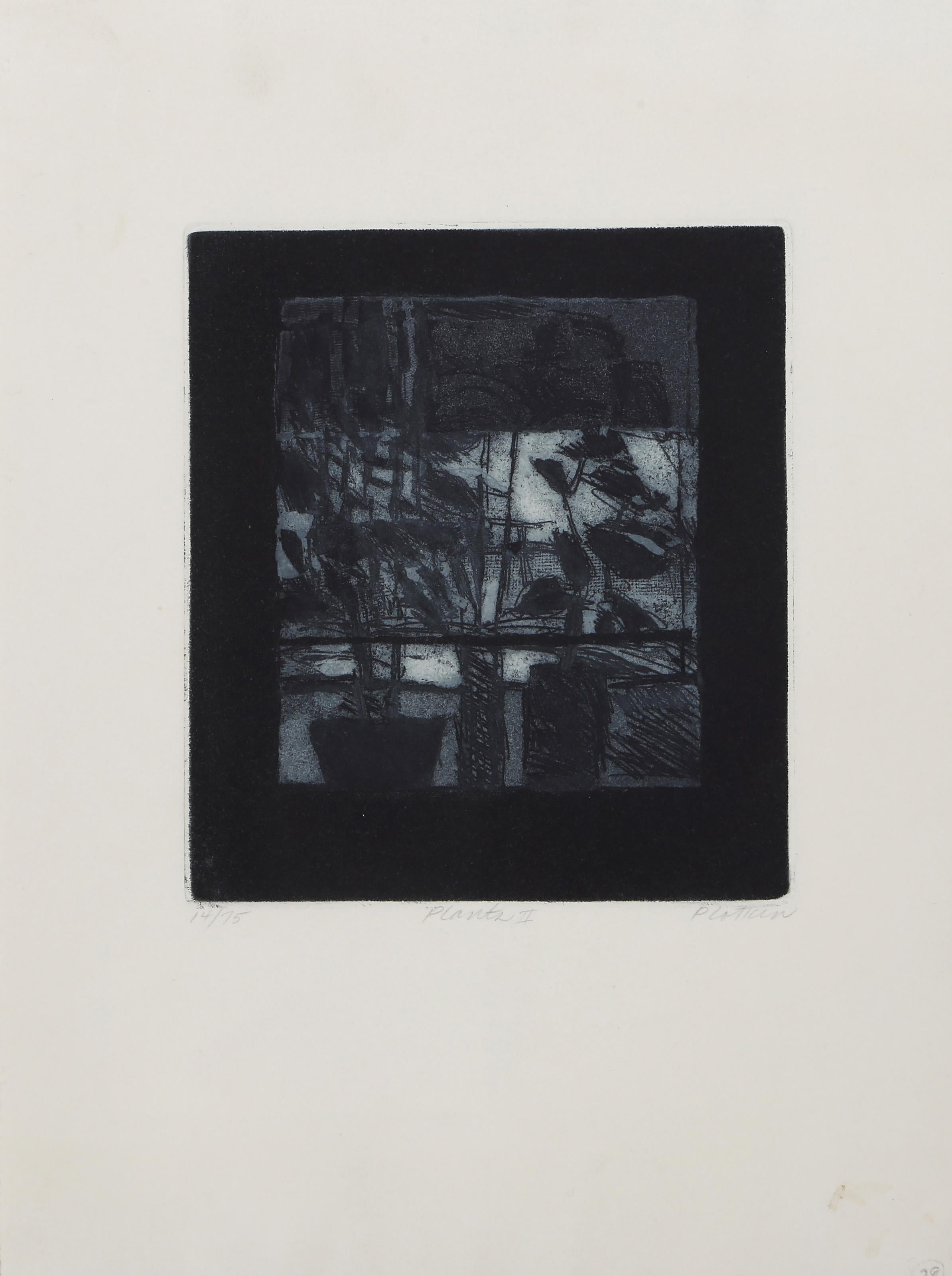 Plants II, Modern Etching and Aquatint by Linda Plotkin For Sale 1