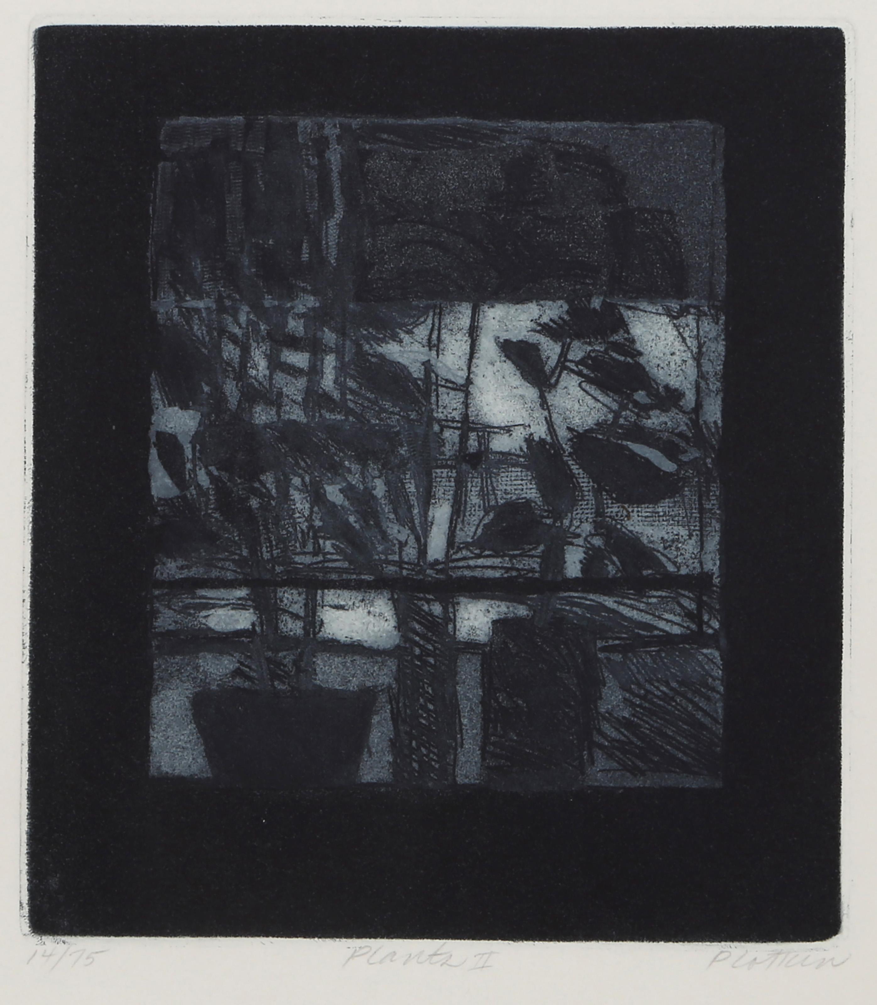 Linda Plotkin, American (1938 - ) - Plants II, Year:  circa 1965, Medium:  Etching and Aquatint, signed, titled and numbered in pencil, Edition:  14/75, Image Size:  7.75 x 6.75 inches, Size:  15 x 11 in. (38.1 x 27.94 cm) 