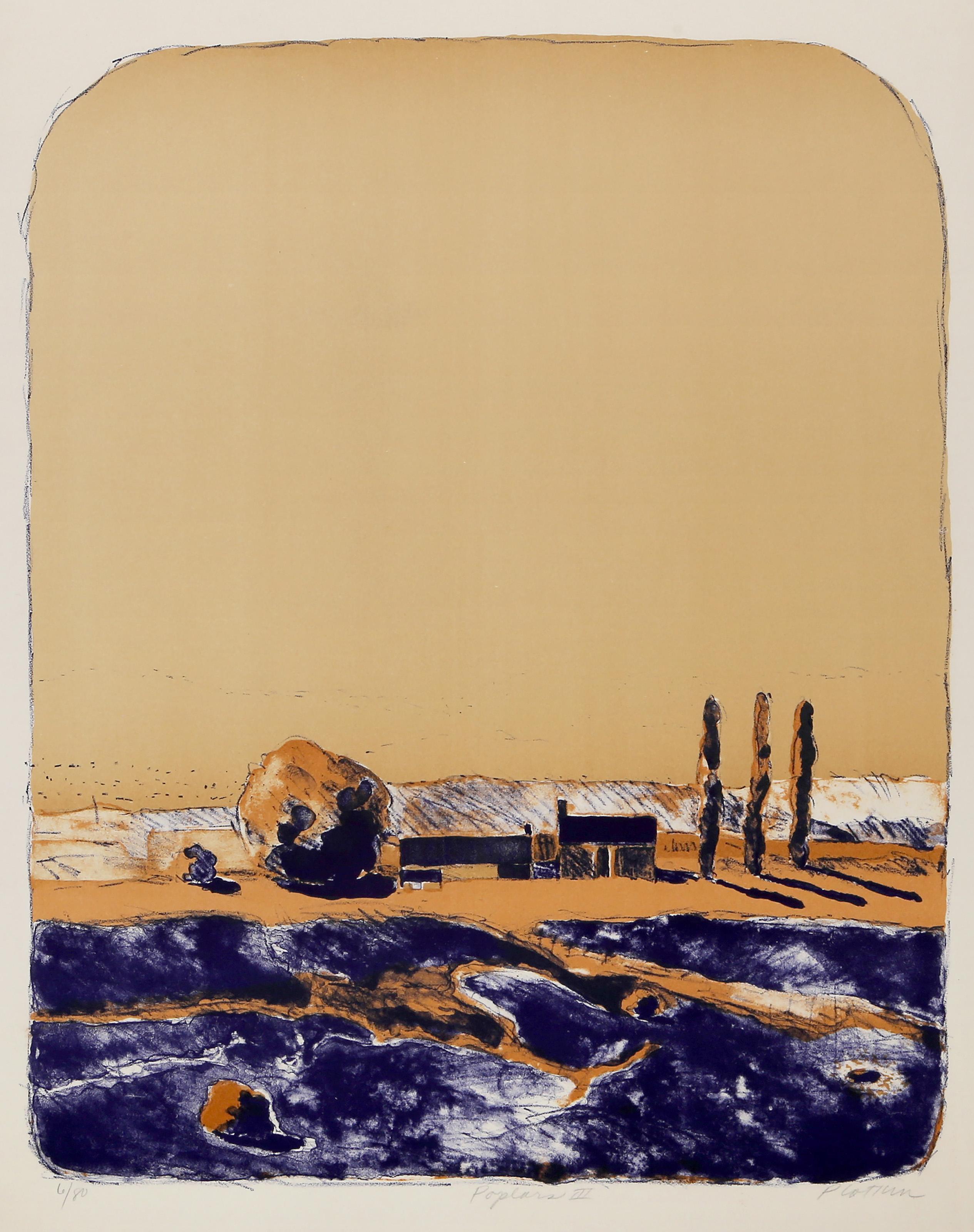 Linda Plotkin, American (1938 - ) - Poplars III, Year:  circa 1965, Medium:  Lithograph on Arches, signed, titled and numbered in pencil, Edition:  6/80, Image Size:  21 x 16.5 inches, Size:  25.75 x 20 in. (65.41 x 50.8 cm) 