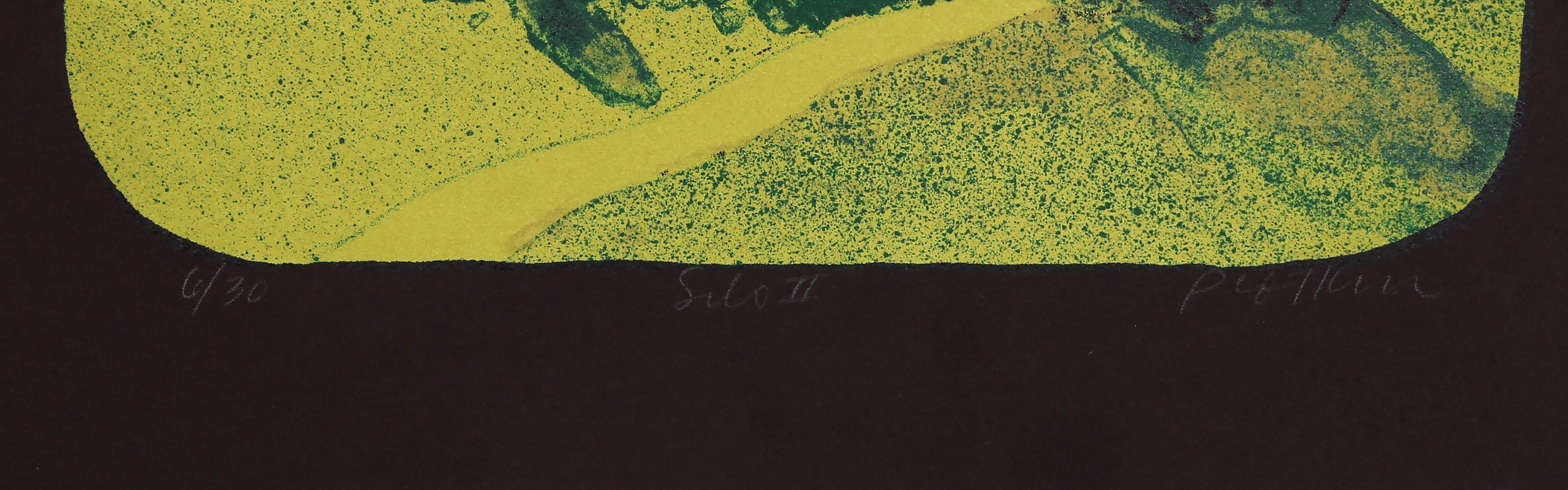 Silo II, Modern Lithograph by Linda Plotkin For Sale 4