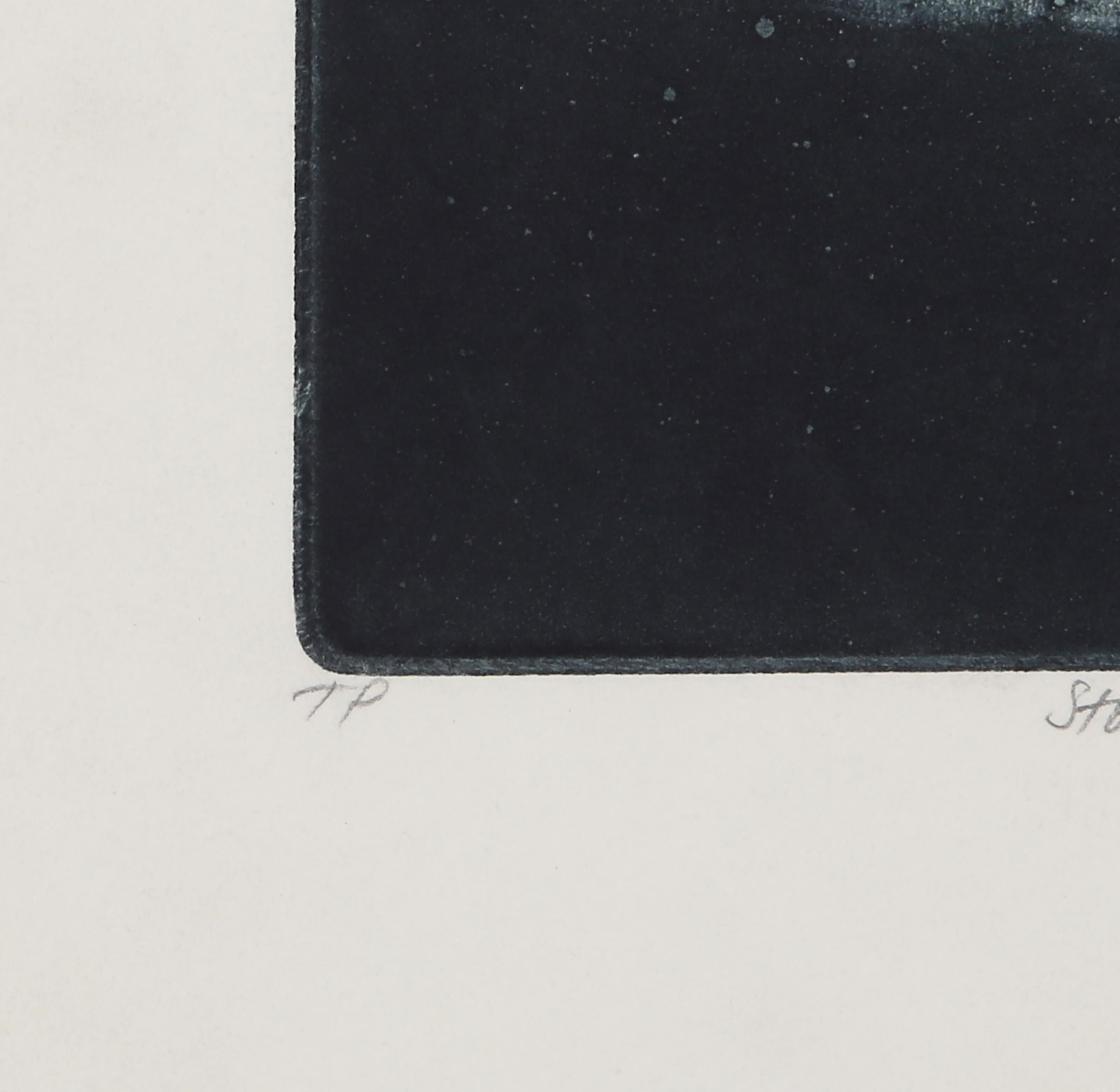 Stone Valley, Modern Aquatint by Linda Plotkin For Sale 2