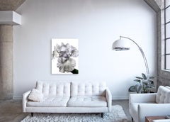 Flora Italiana ( Iris Bianco ) - fotografia di natura morta botanica di grande formato