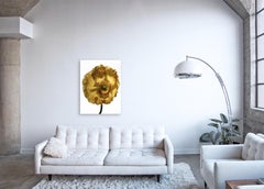 Flora Italiana (Papavero Giallo Fiorito) - large botanical still life photograph