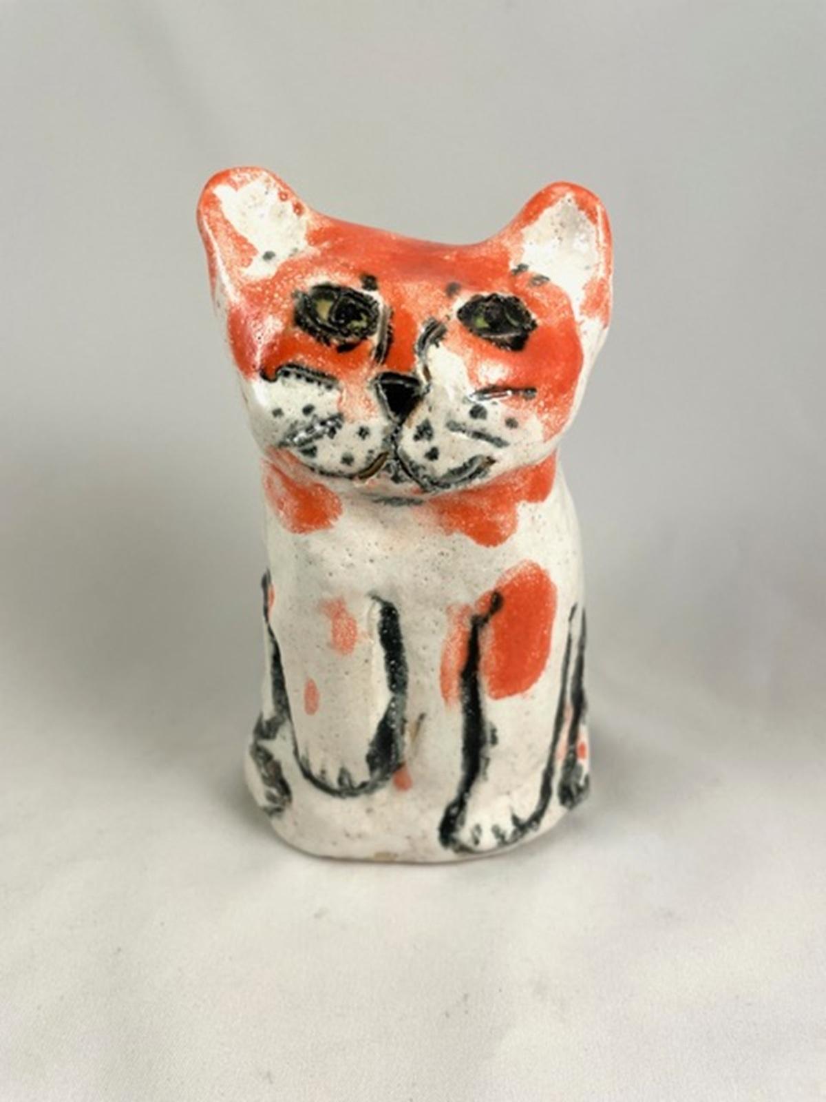 Cat orange and white