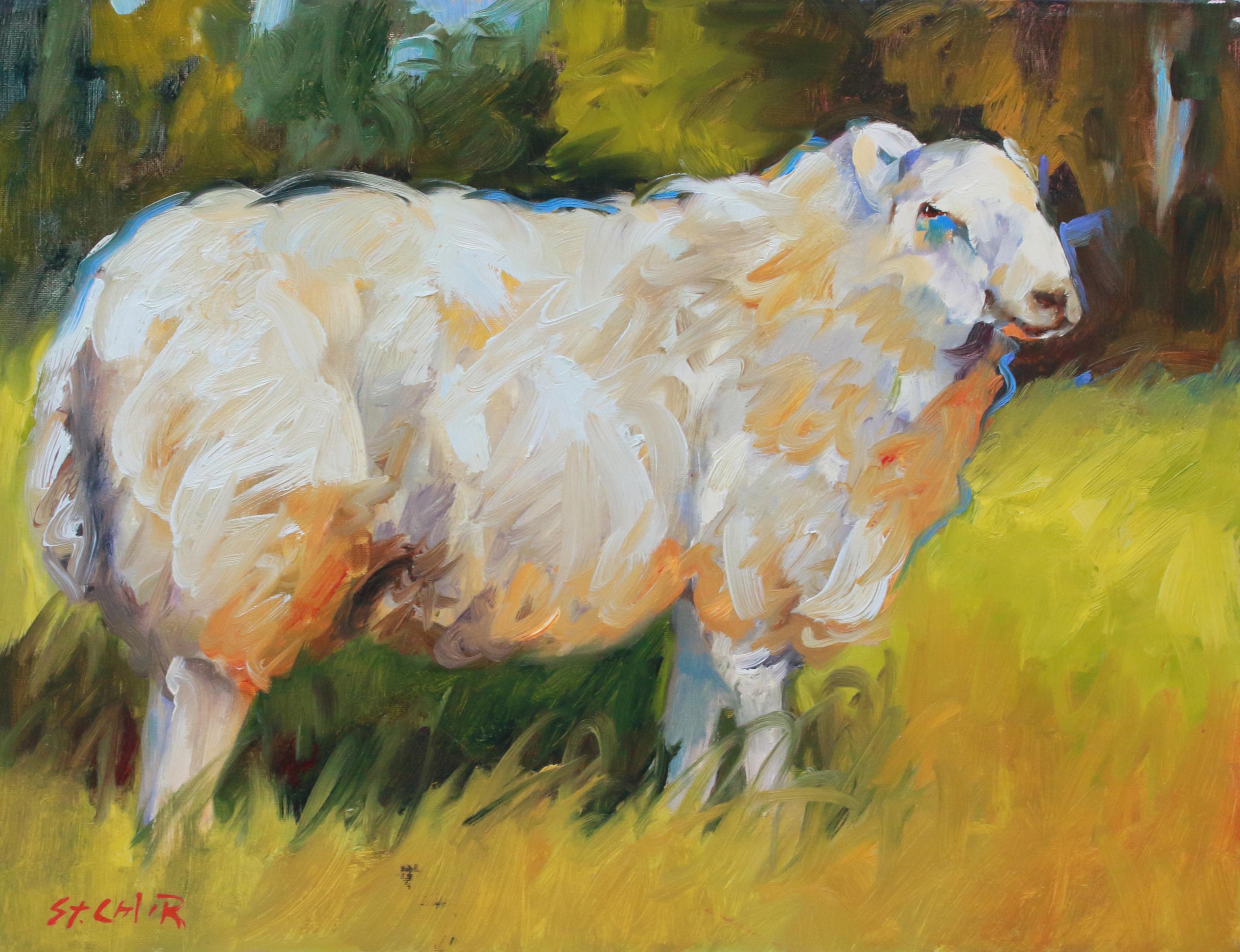 Big Sheep