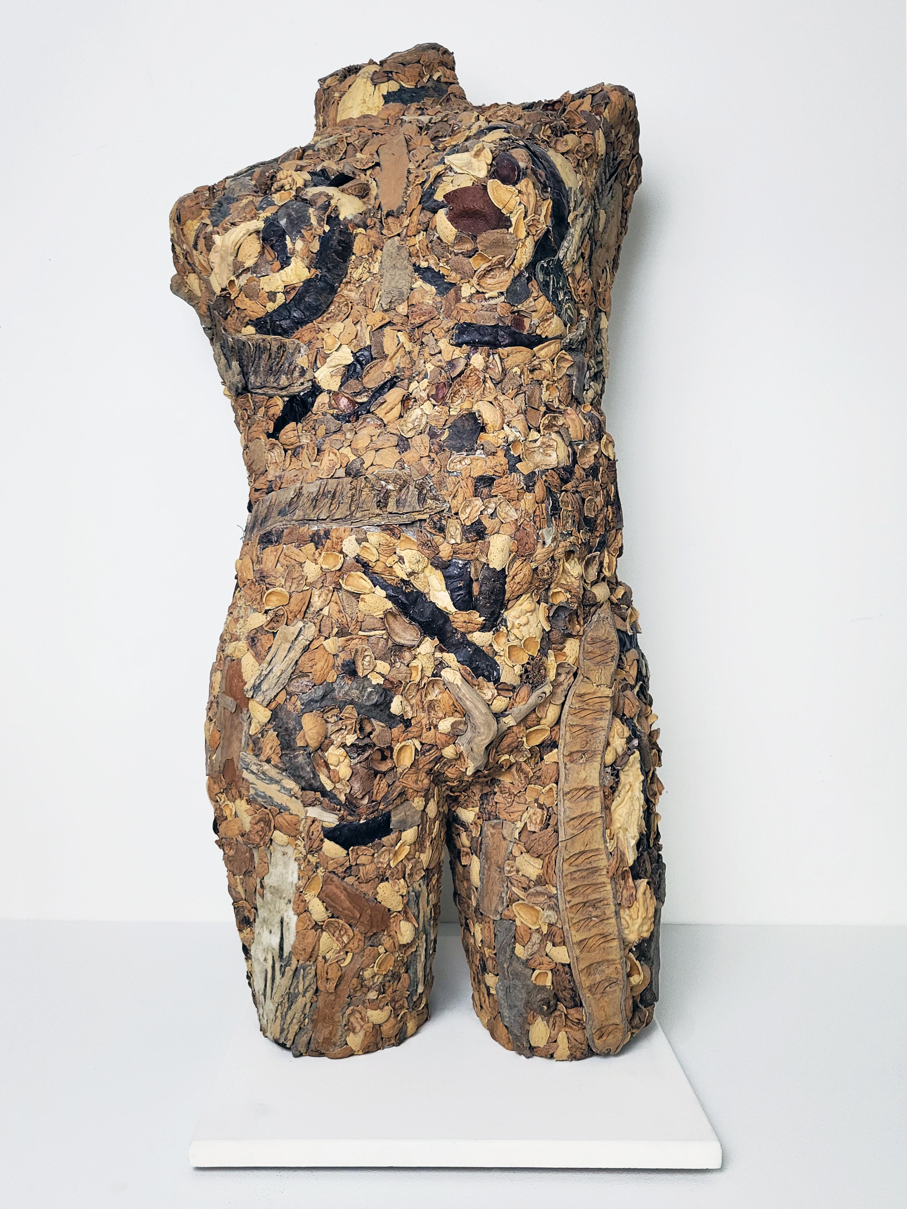 Linda Stein, Tapa dura 775- Escultura contemporánea de cáscara de nuez marrón de técnica mixta en venta 1