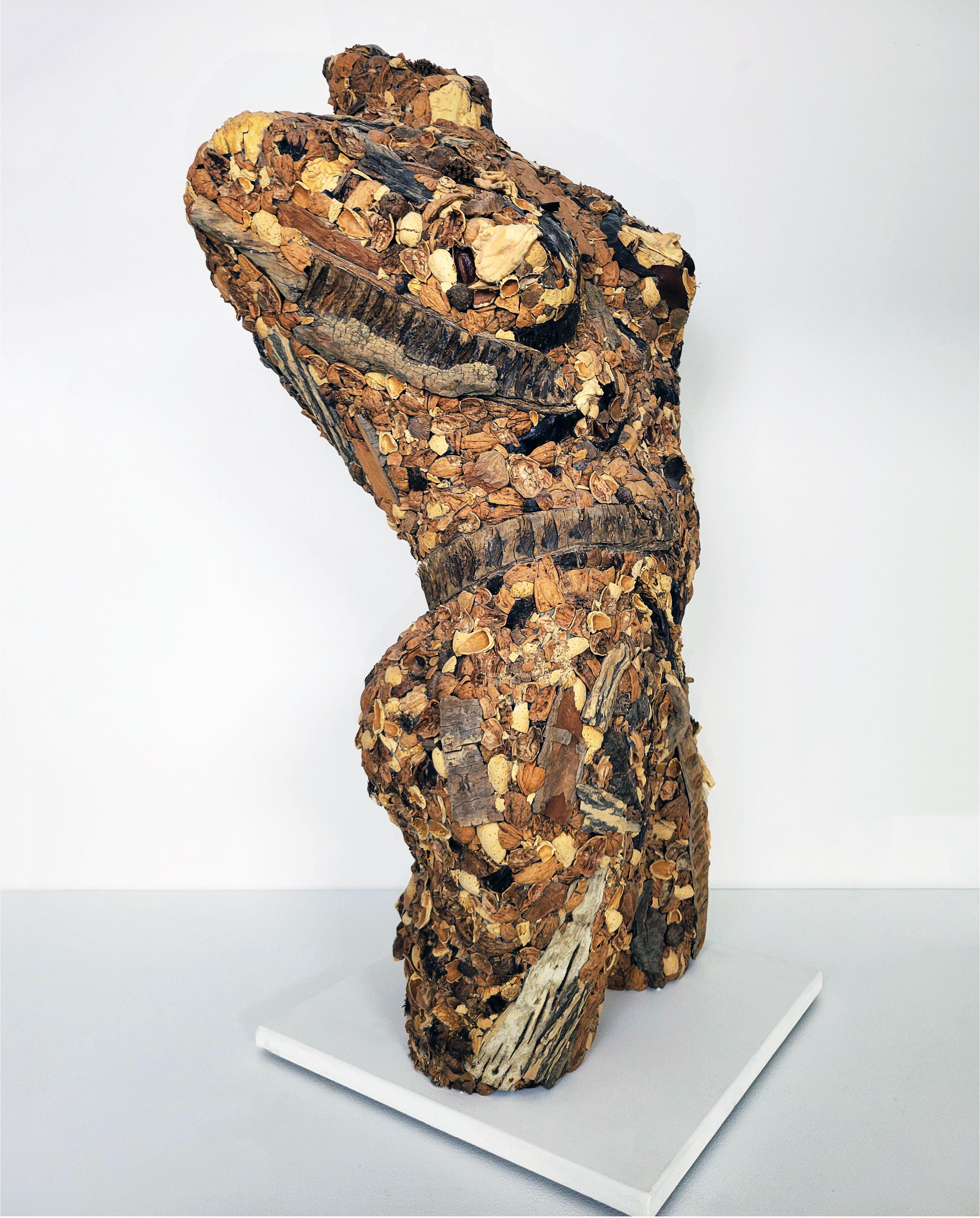 Linda Stein, Tapa dura 775- Escultura contemporánea de cáscara de nuez marrón de técnica mixta en venta 2