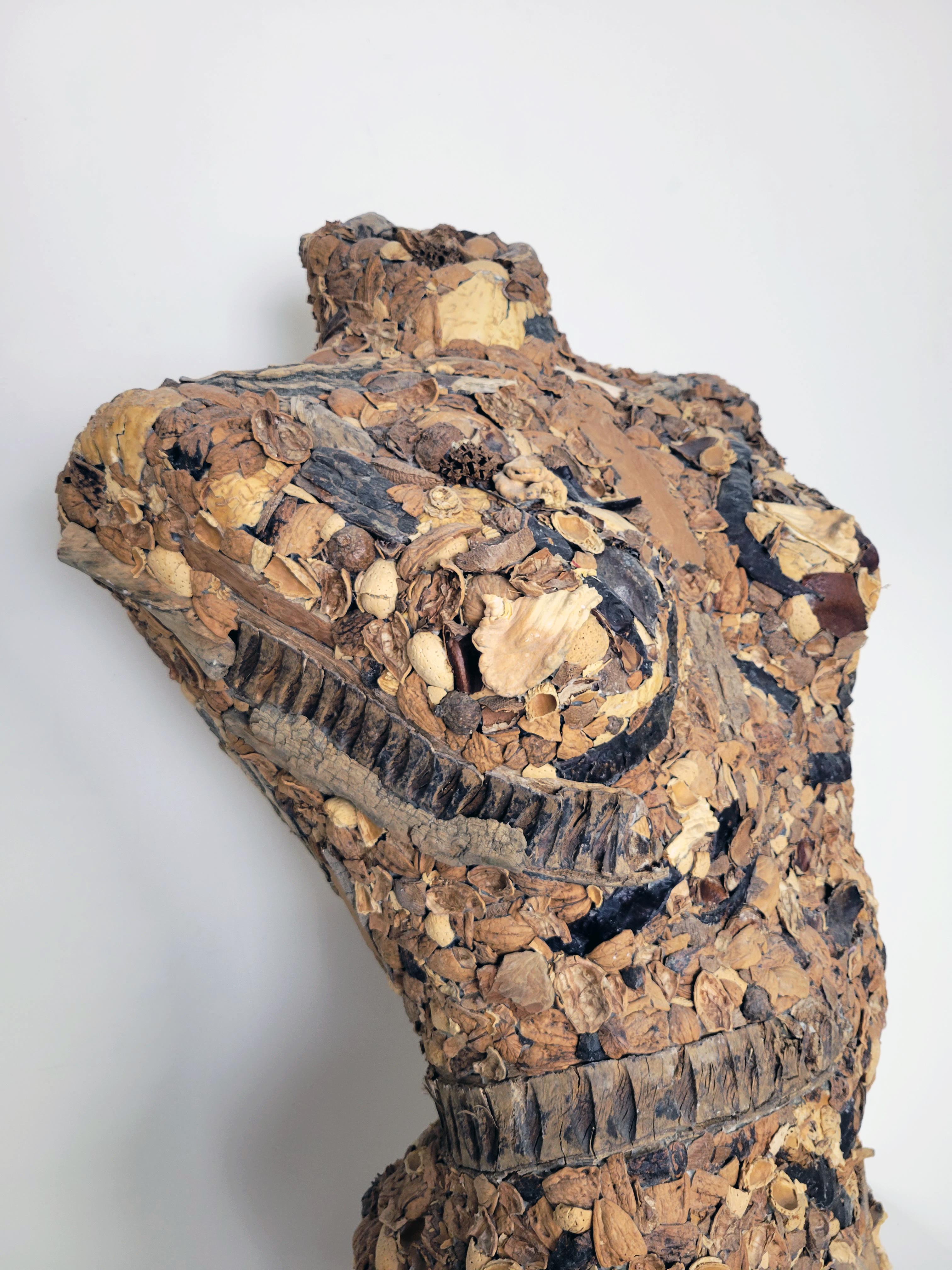 Linda Stein, Tapa dura 775- Escultura contemporánea de cáscara de nuez marrón de técnica mixta en venta 4