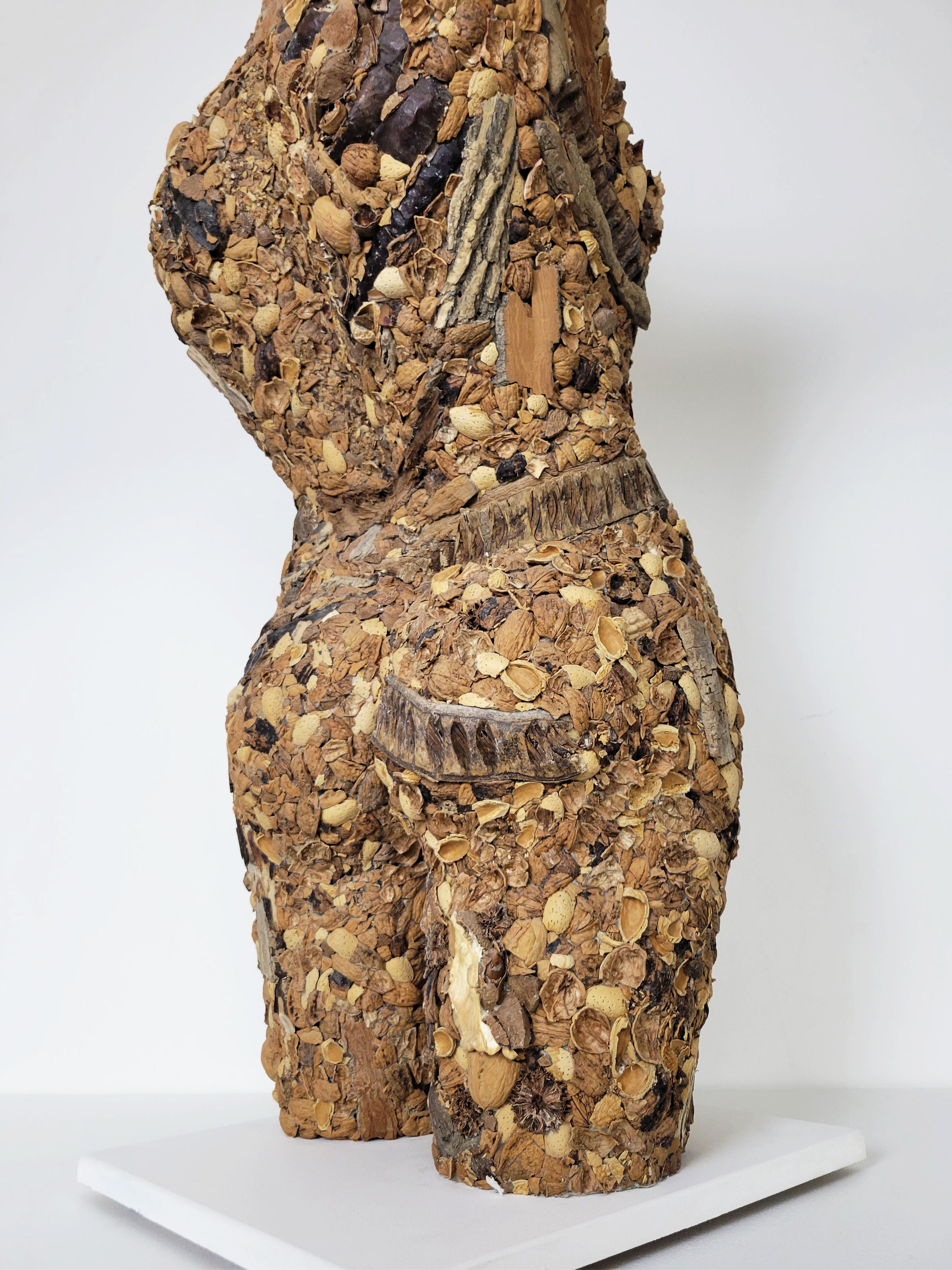 Linda Stein, Tapa dura 775- Escultura contemporánea de cáscara de nuez marrón de técnica mixta en venta 6