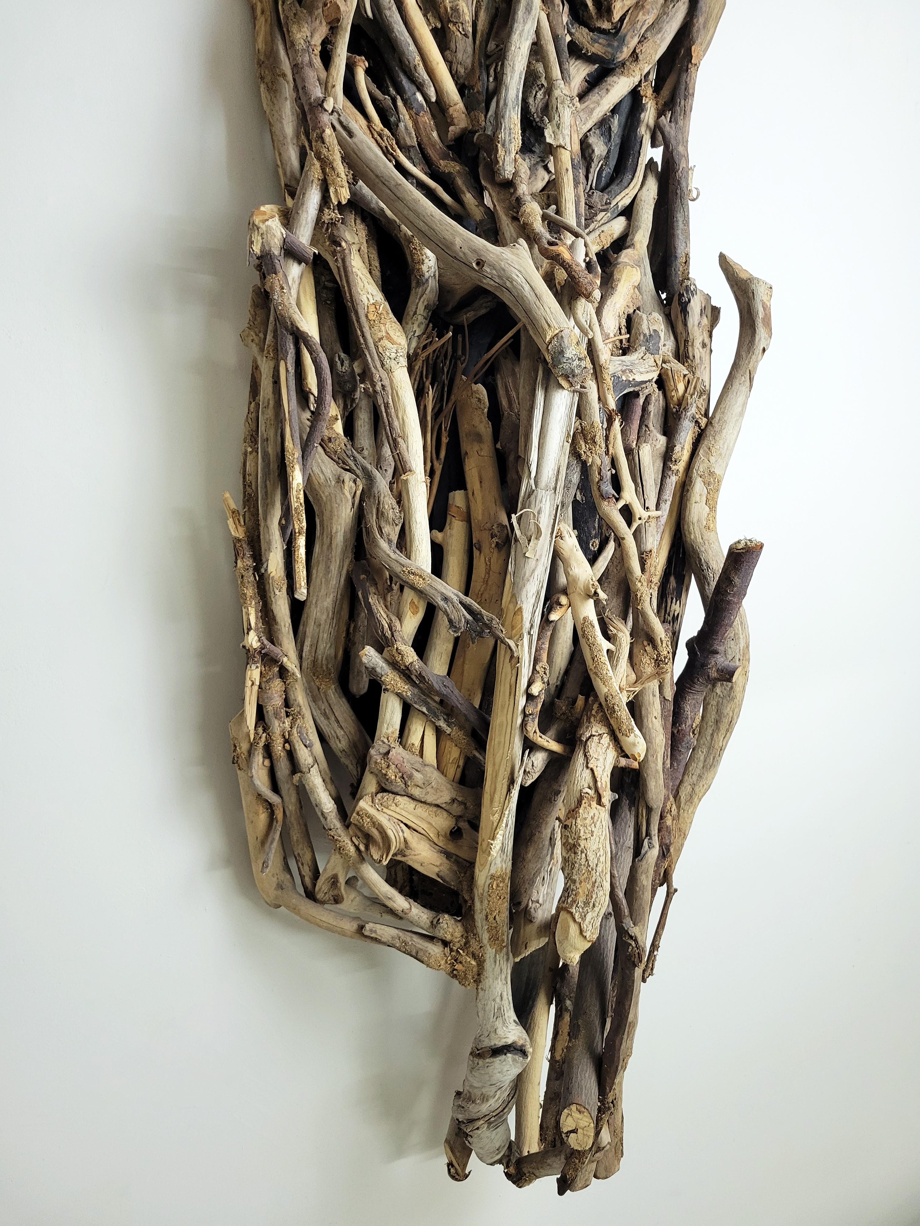 Sculpture américaine contemporaine en bois - Linda Stein, Branch Life 724 en vente 2
