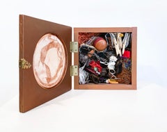 Case 893  - Cabinet of Curiosities, Wunderkammer, Contemporary Art Sculpture