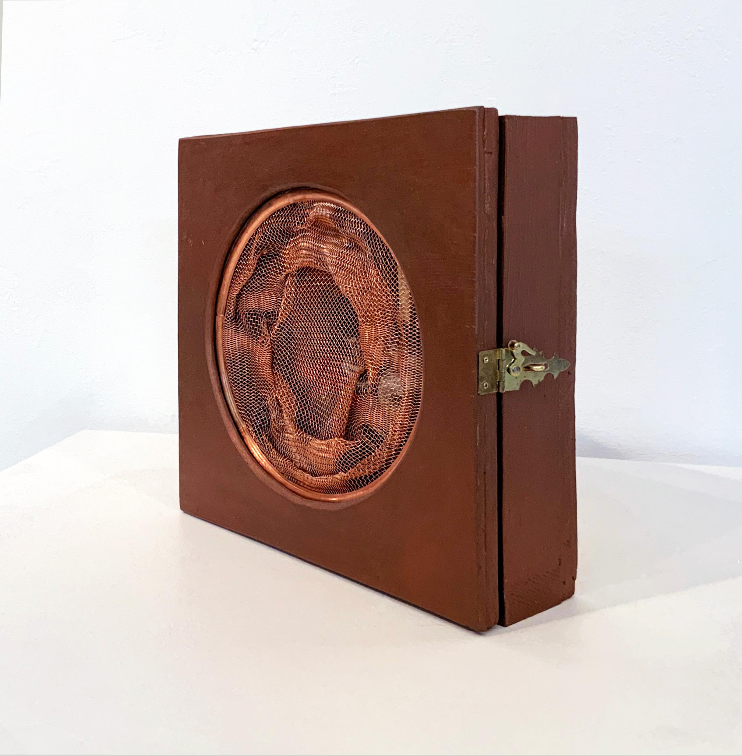 Caso 893  - Gabinete de Curiosidades, Wunderkammer, Escultura de Arte Contemporáneo - Abstract Sculpture Marrón de Linda Stein