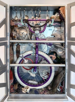Closet with Bicycle 890 - Cabinet of Curiosities, Wunderkammer Art Sculpture