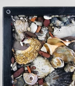 Spoon to Shell 894: Shells Only - Mixed Media Contemporary Assemblage Sculpture