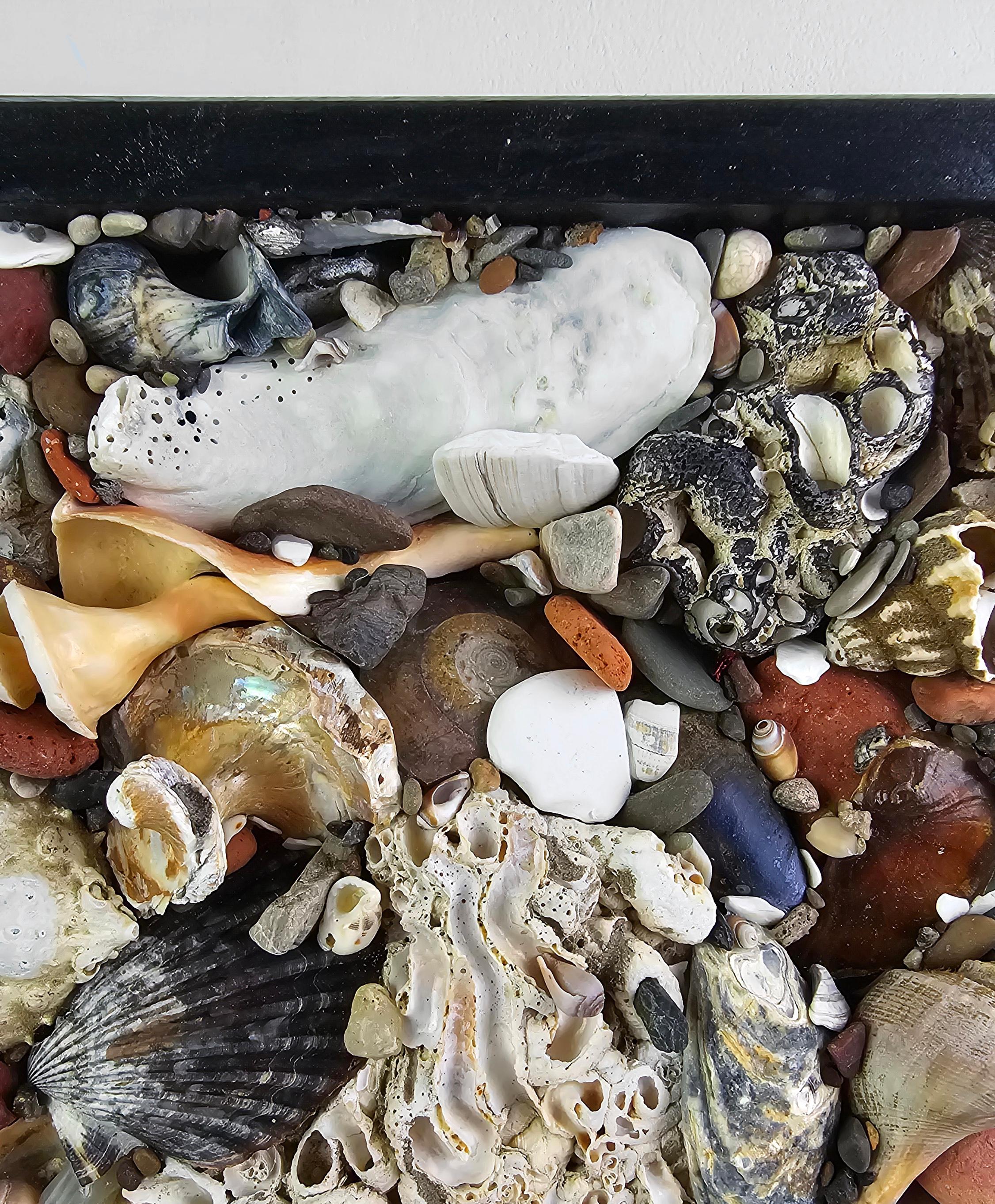 Linda Stein, Spoon to Shell 894: Shells Only - Mixed Media Shell Wood Contemporary Assemblage Sculpture

Spoon to Shell 894: Shells Only is from Linda Stein's Holocaust Heroes: Fierce Females series, which highlights Holocaust-era female