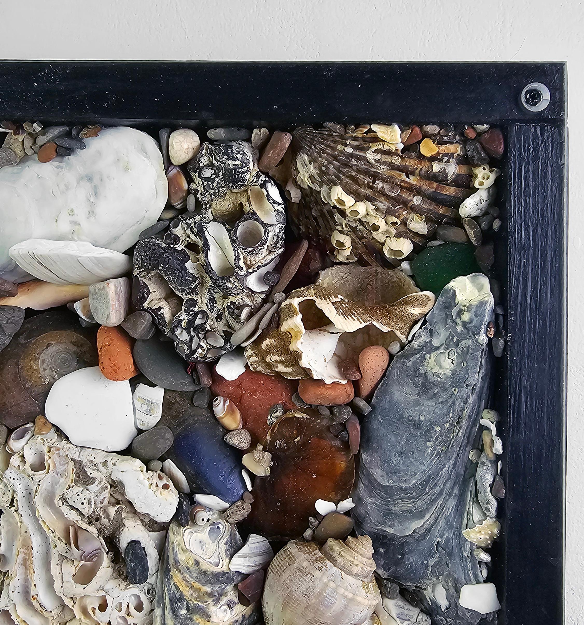 Spoon to Shell 894: Shells Only - Mixed Media Contemporary Assemblage Sculpture For Sale 1