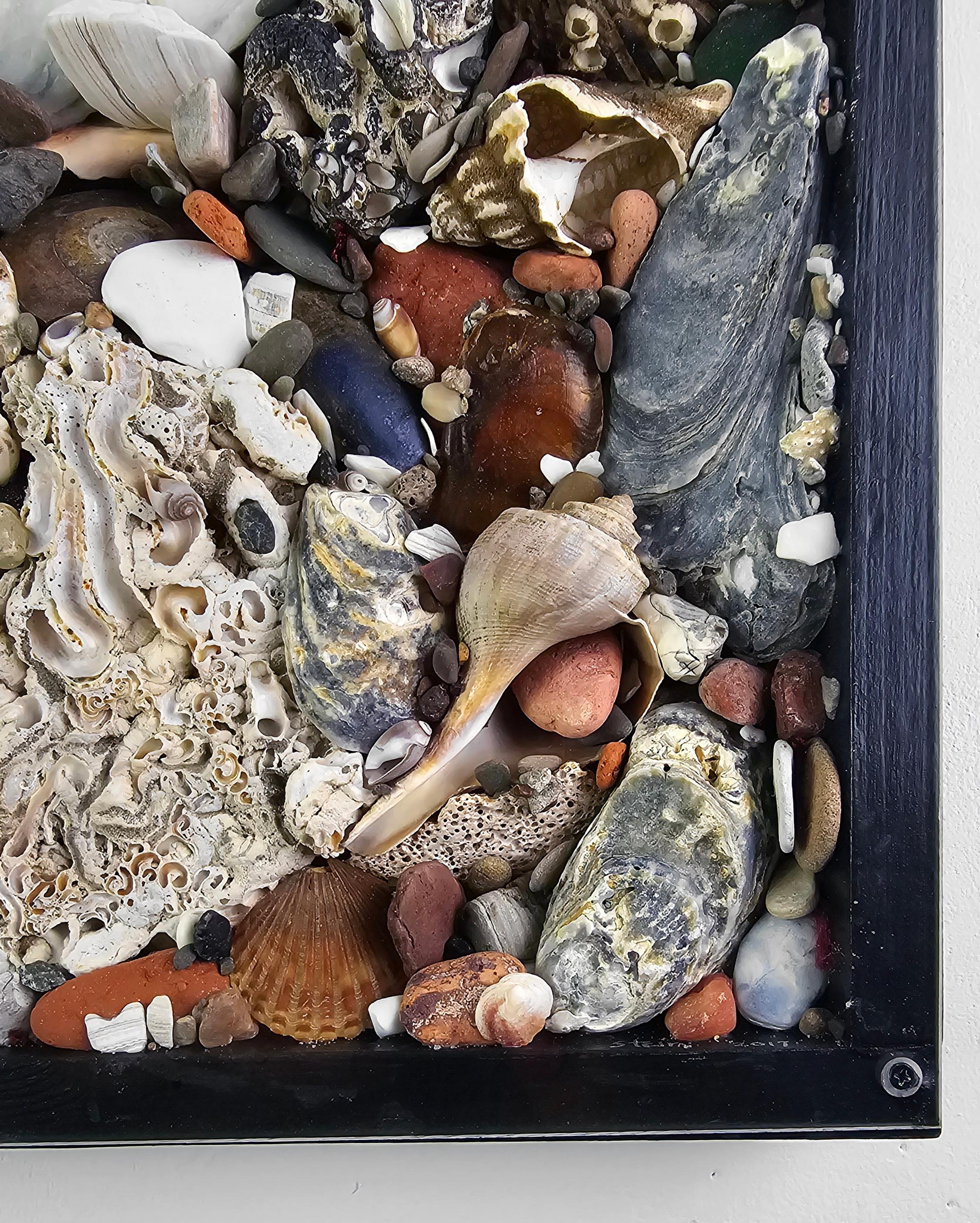 Spoon to Shell 894: Shells Only - Mixed Media Contemporary Assemblage Sculpture For Sale 2