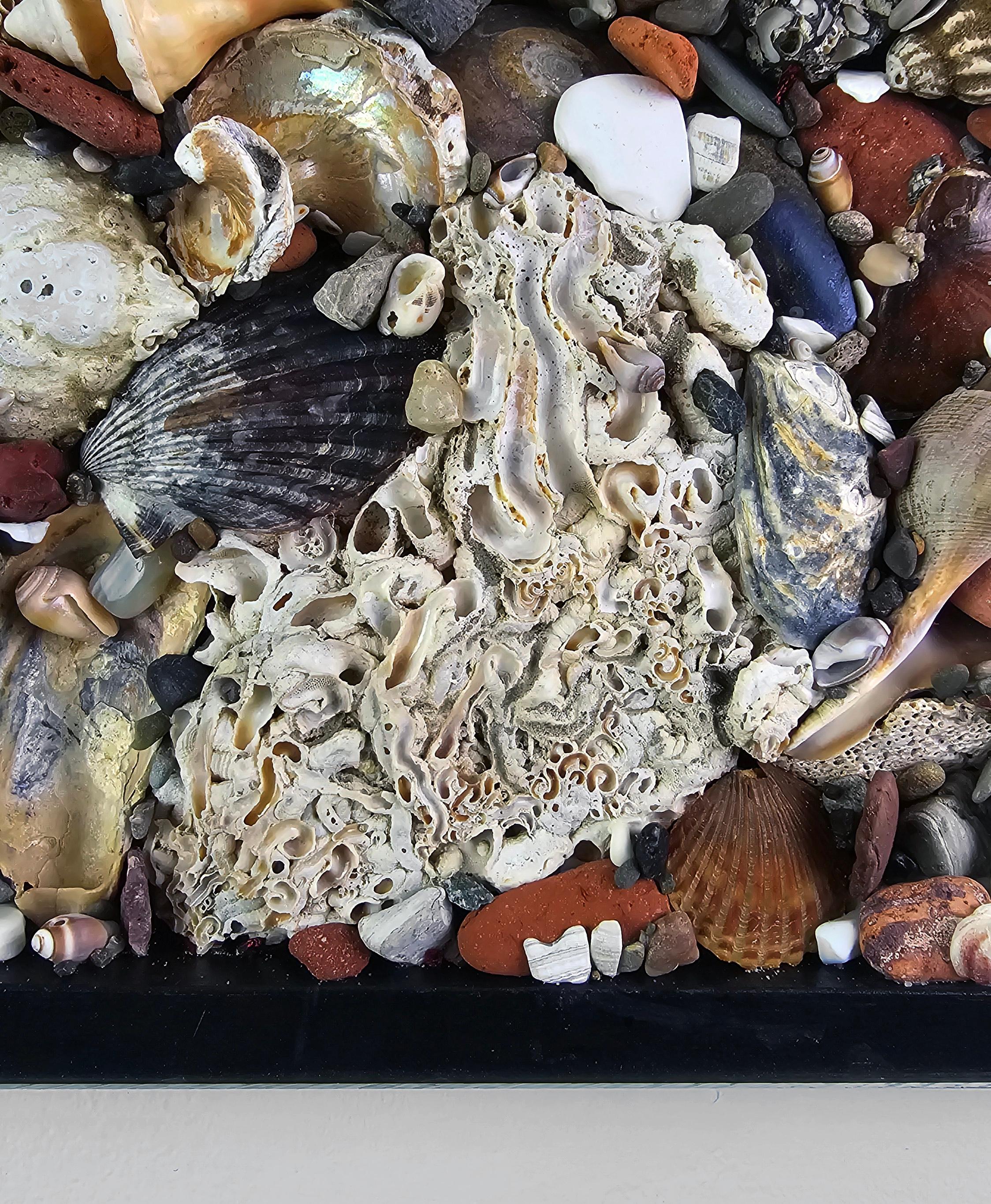 Spoon to Shell 894: Shells Only - Mixed Media Contemporary Assemblage Sculpture For Sale 3